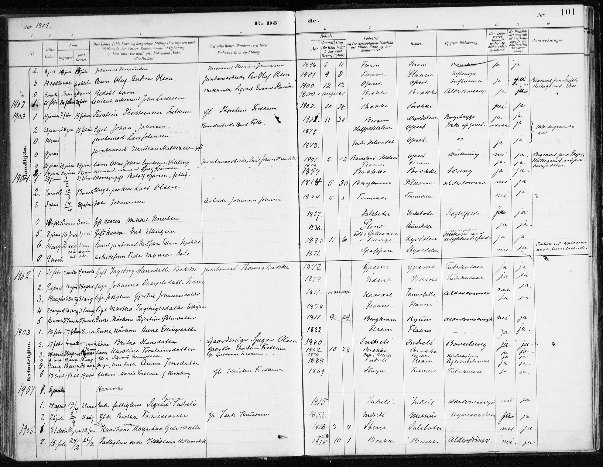 Aurland sokneprestembete, SAB/A-99937/H/Ha/Hac/L0001: Parish register (official) no. C 1, 1880-1921, p. 101