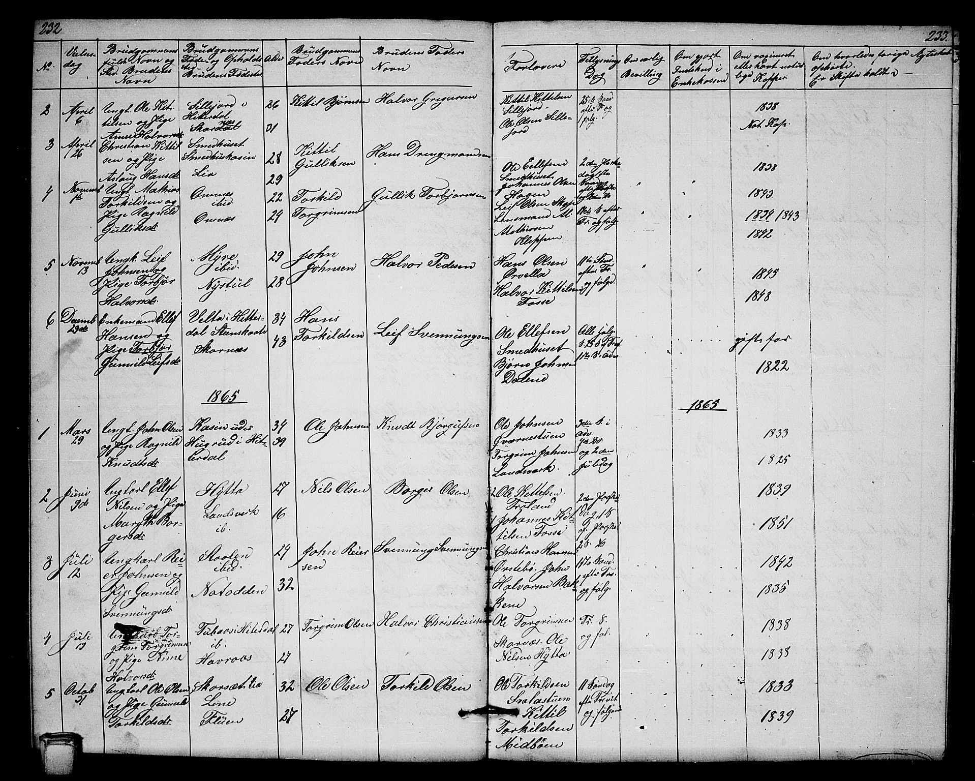 Hjartdal kirkebøker, SAKO/A-270/G/Gb/L0002: Parish register (copy) no. II 2, 1854-1884, p. 232-233