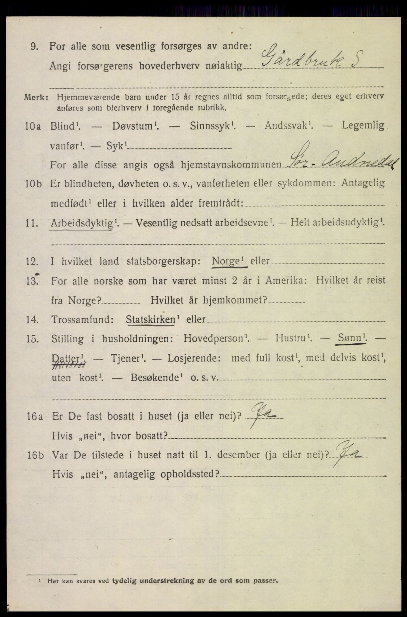 SAK, 1920 census for Sør-Audnedal, 1920, p. 2646