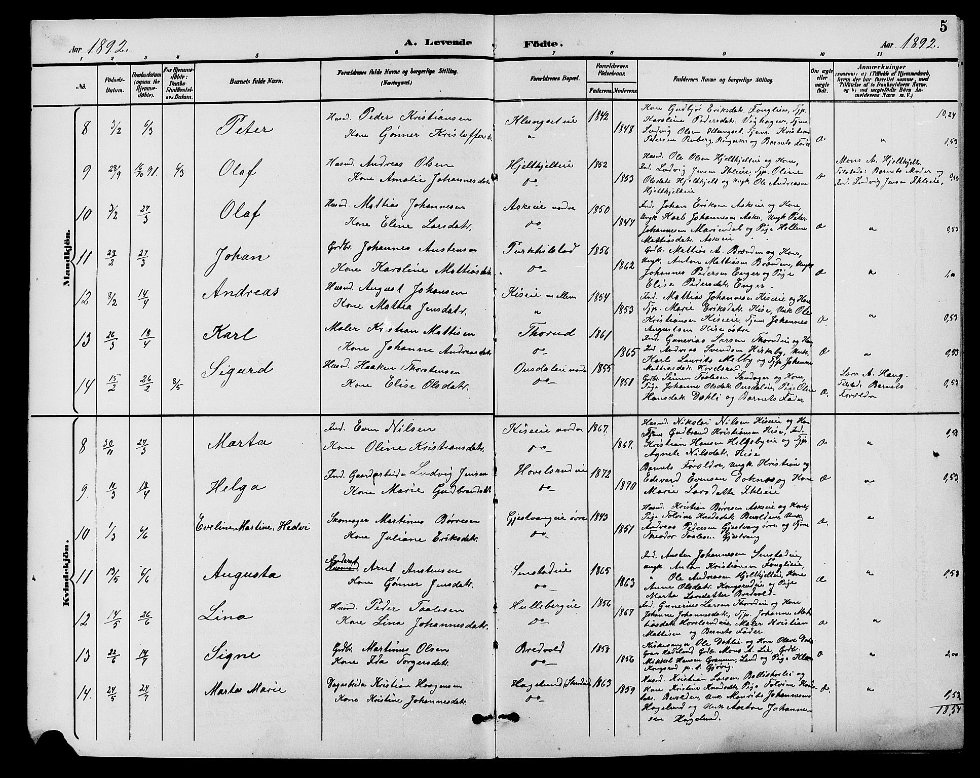 Nes prestekontor, Hedmark, AV/SAH-PREST-020/L/La/L0007: Parish register (copy) no. 7, 1892-1912, p. 5