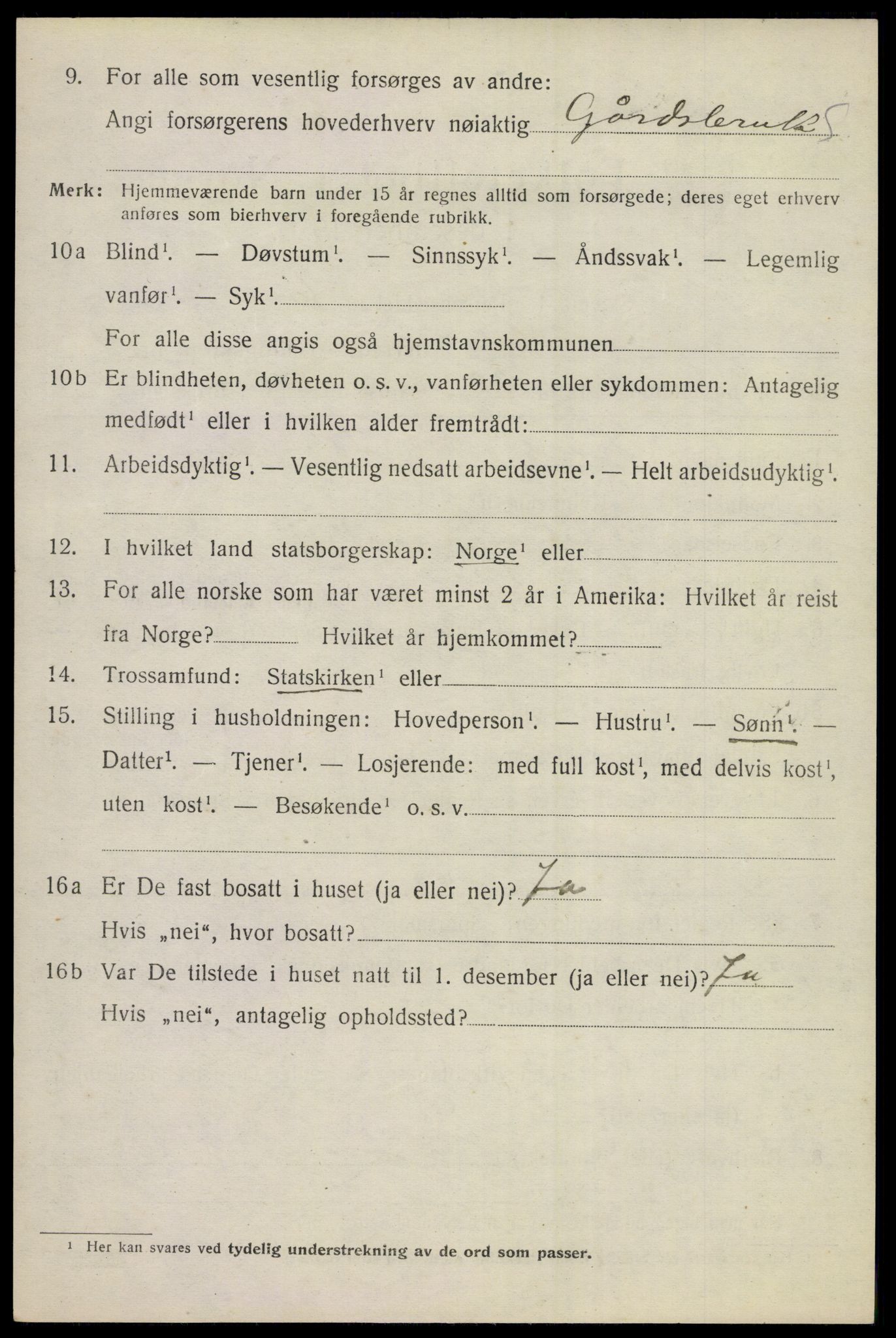 SAKO, 1920 census for Hol (Buskerud), 1920, p. 2784