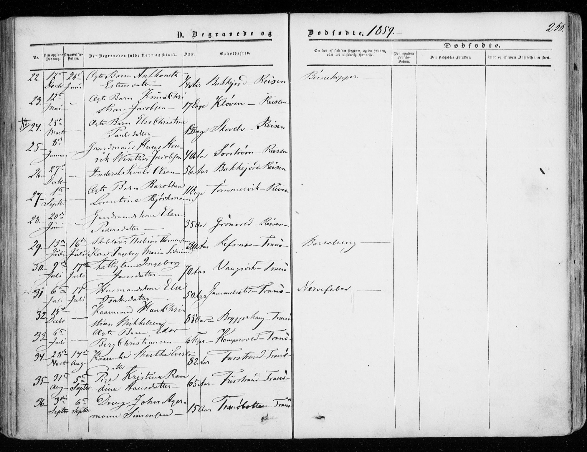 Tranøy sokneprestkontor, SATØ/S-1313/I/Ia/Iaa/L0007kirke: Parish register (official) no. 7, 1856-1866, p. 256
