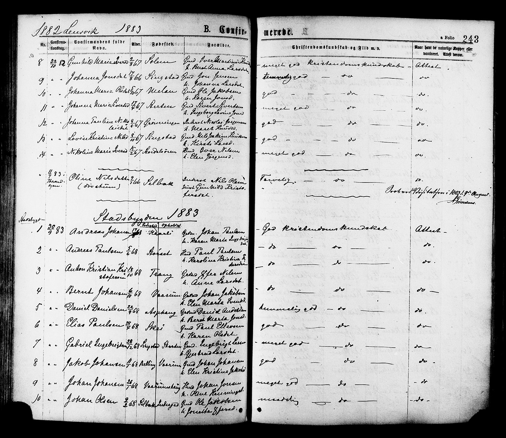 Ministerialprotokoller, klokkerbøker og fødselsregistre - Sør-Trøndelag, SAT/A-1456/646/L0613: Parish register (official) no. 646A11, 1870-1884, p. 243
