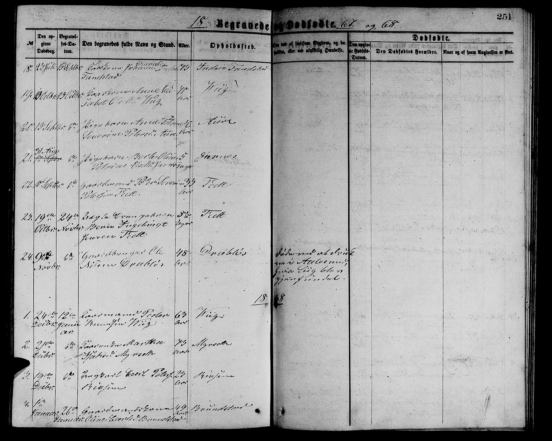 Ministerialprotokoller, klokkerbøker og fødselsregistre - Møre og Romsdal, AV/SAT-A-1454/523/L0338: Parish register (copy) no. 523C01, 1865-1877, p. 251