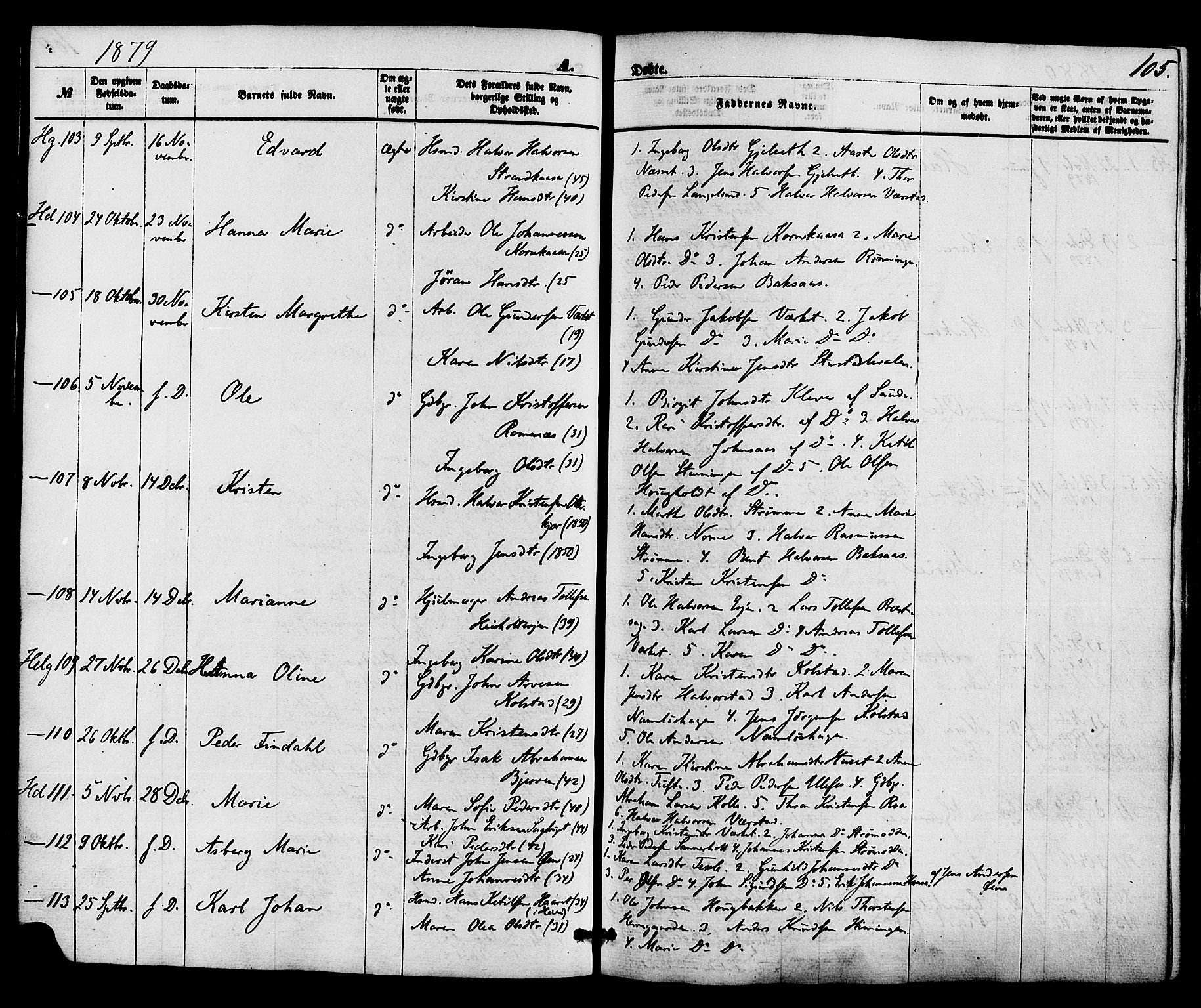 Holla kirkebøker, AV/SAKO-A-272/F/Fa/L0007: Parish register (official) no. 7, 1869-1881, p. 105