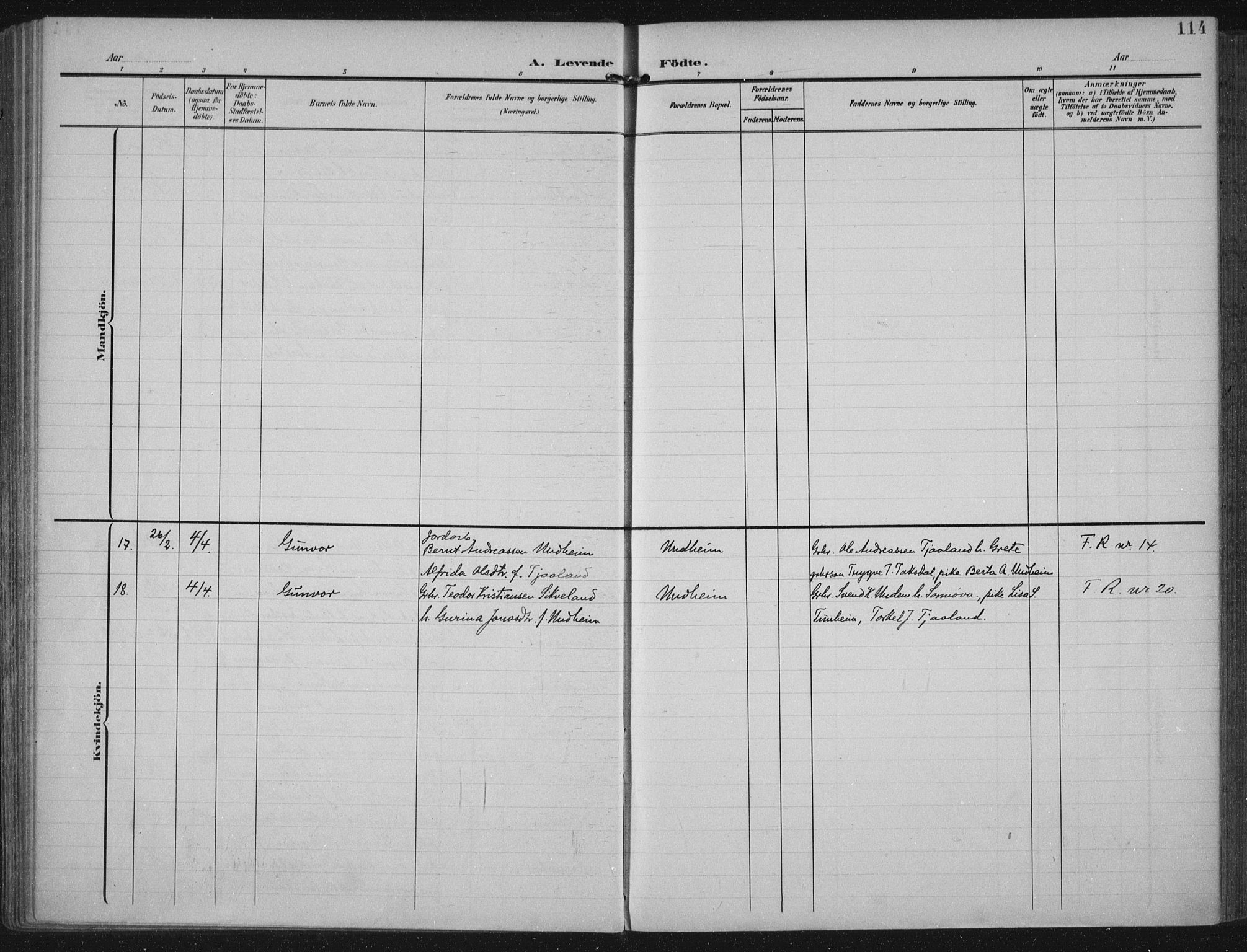 Lye sokneprestkontor, AV/SAST-A-101794/002/A/L0001: Parish register (official) no. A 12, 1904-1920, p. 114