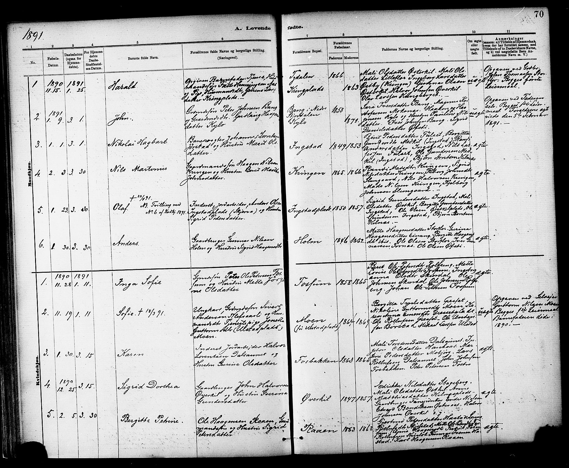 Ministerialprotokoller, klokkerbøker og fødselsregistre - Nord-Trøndelag, SAT/A-1458/703/L0030: Parish register (official) no. 703A03, 1880-1892, p. 70