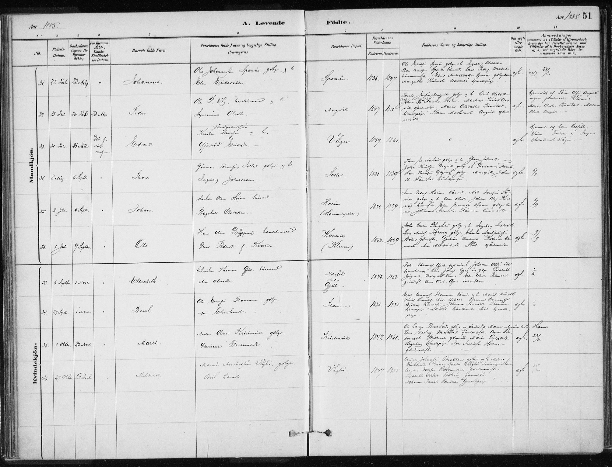 Ministerialprotokoller, klokkerbøker og fødselsregistre - Møre og Romsdal, AV/SAT-A-1454/586/L0987: Parish register (official) no. 586A13, 1879-1892, p. 51