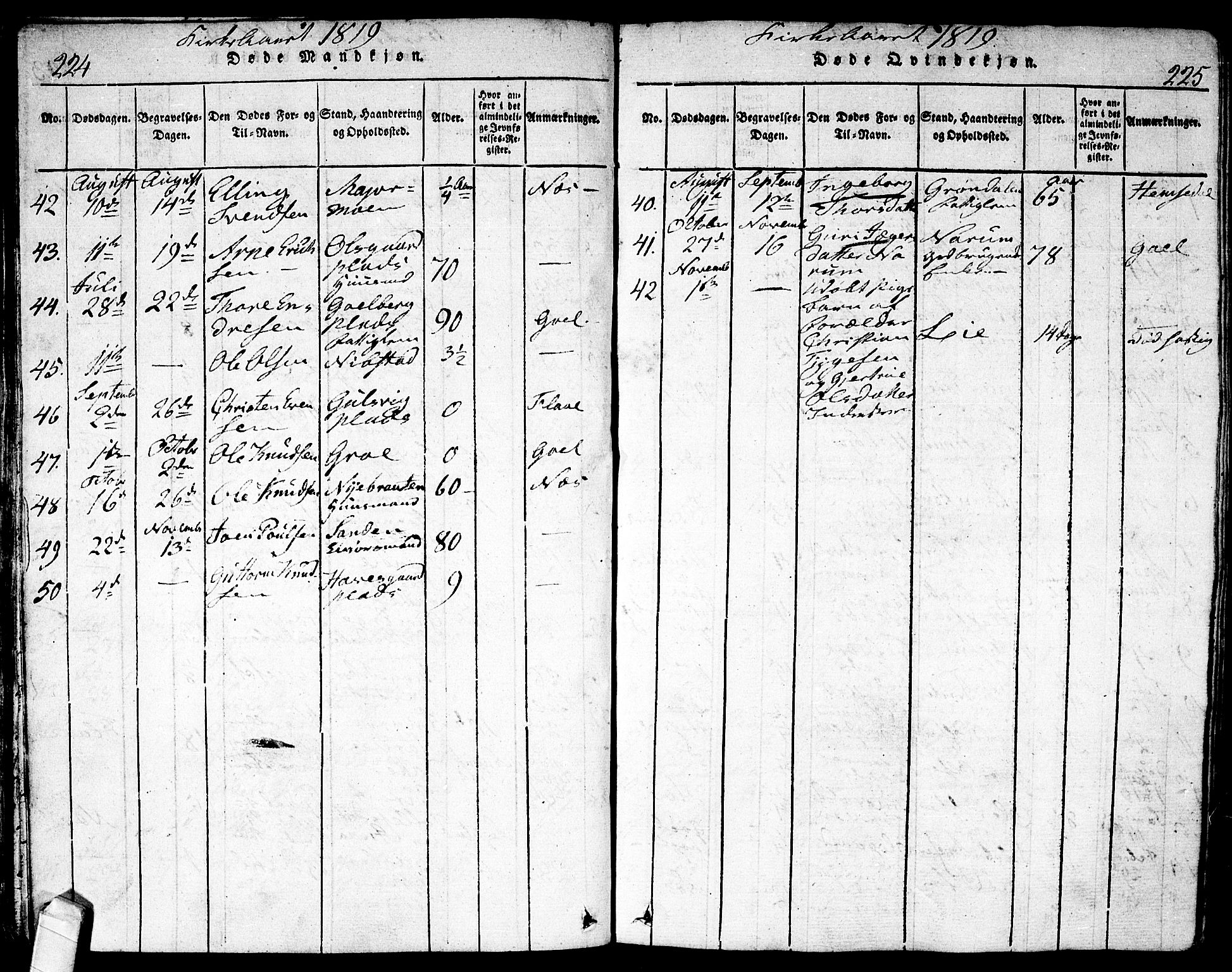 Nes kirkebøker, AV/SAKO-A-236/F/Fa/L0007: Parish register (official) no. 7, 1815-1823, p. 224-225