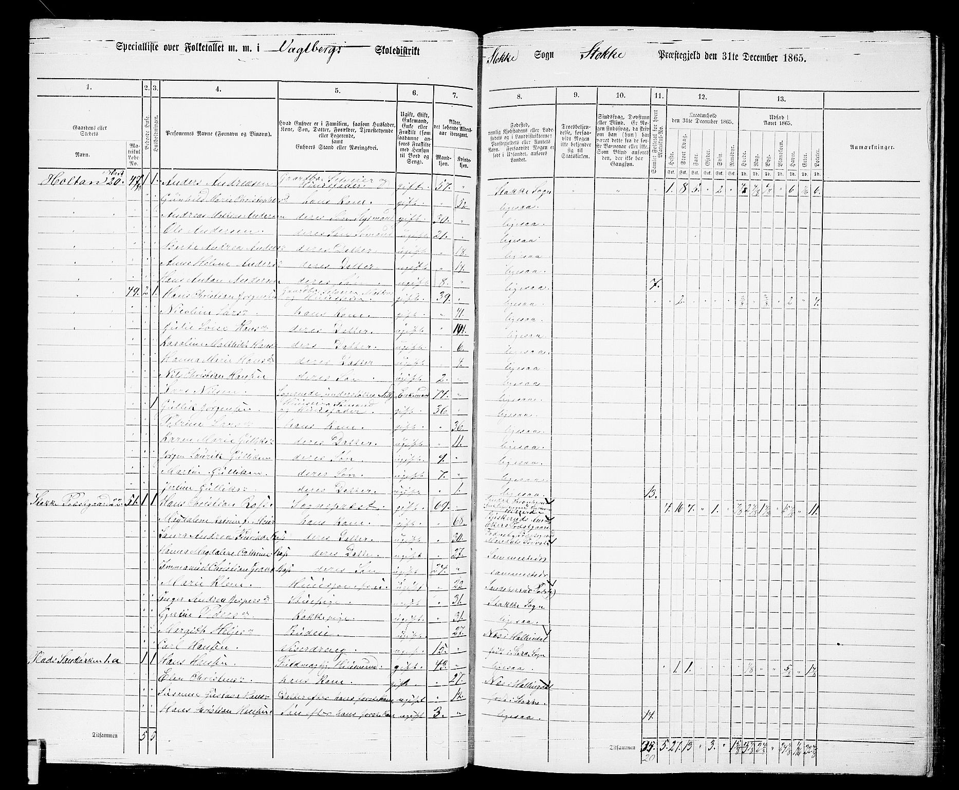 RA, 1865 census for Stokke, 1865, p. 55