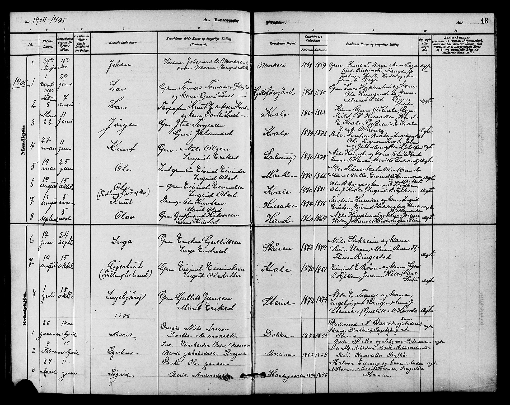 Vestre Slidre prestekontor, SAH/PREST-136/H/Ha/Hab/L0004: Parish register (copy) no. 4, 1881-1912, p. 43