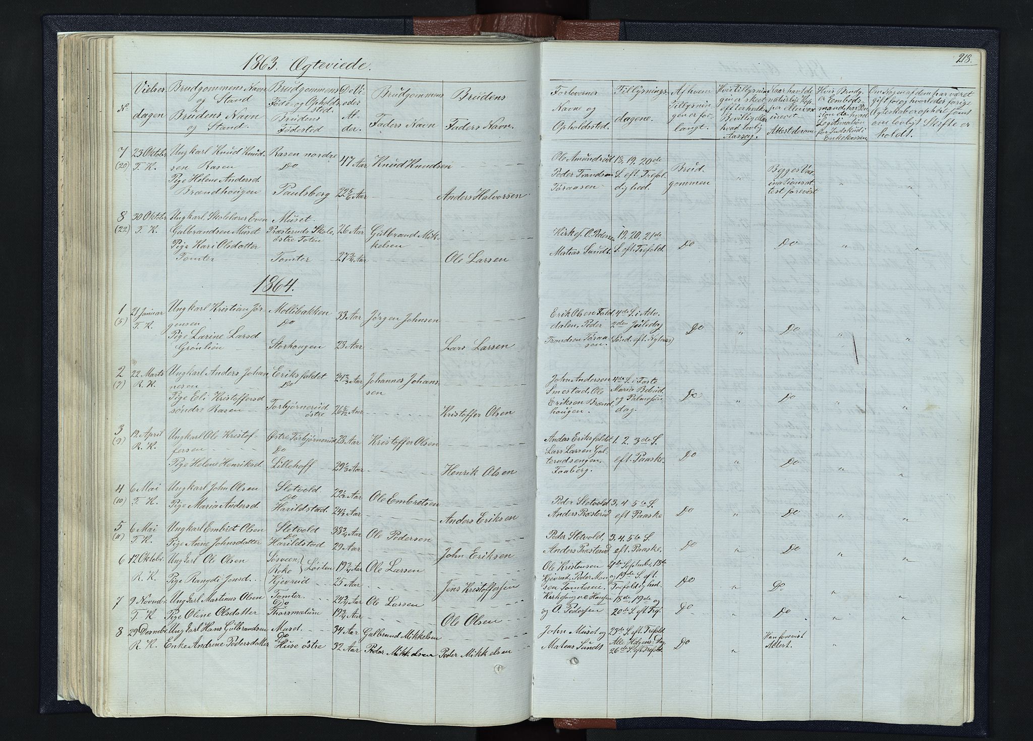 Romedal prestekontor, SAH/PREST-004/L/L0010: Parish register (copy) no. 10, 1860-1895, p. 218