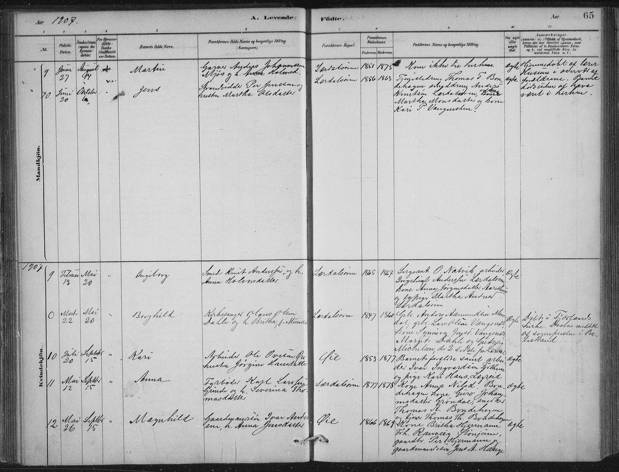 Lærdal sokneprestembete, AV/SAB-A-81201: Parish register (official) no. D  1, 1878-1908, p. 65