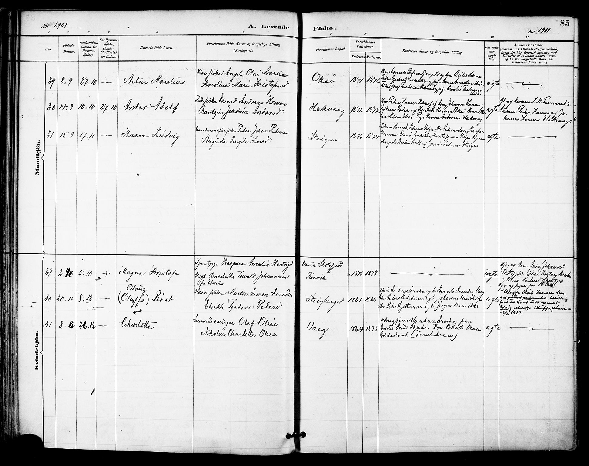 Ministerialprotokoller, klokkerbøker og fødselsregistre - Nordland, SAT/A-1459/855/L0803: Parish register (official) no. 855A11, 1887-1905, p. 85