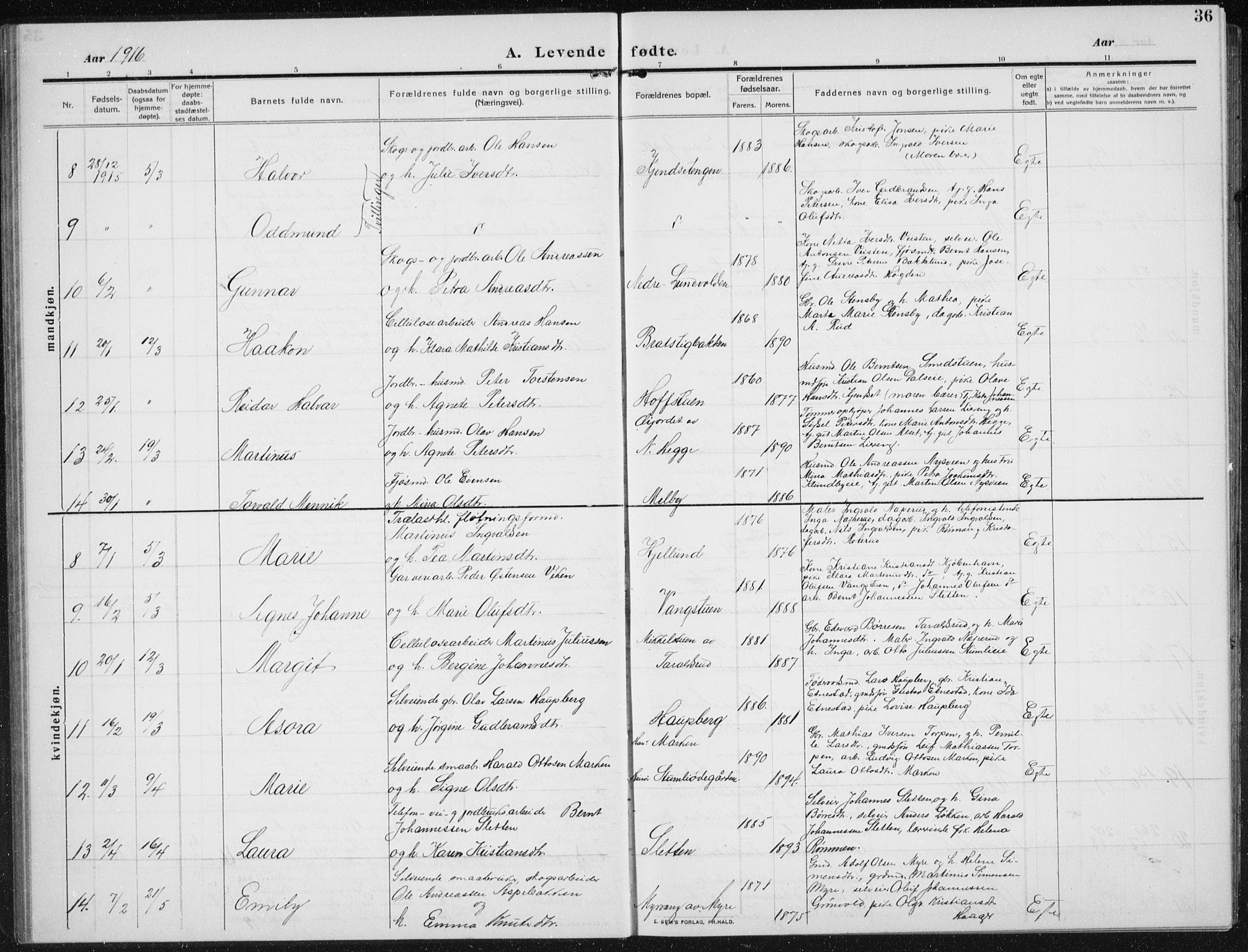Biri prestekontor, SAH/PREST-096/H/Ha/Hab/L0006: Parish register (copy) no. 6, 1909-1938, p. 36