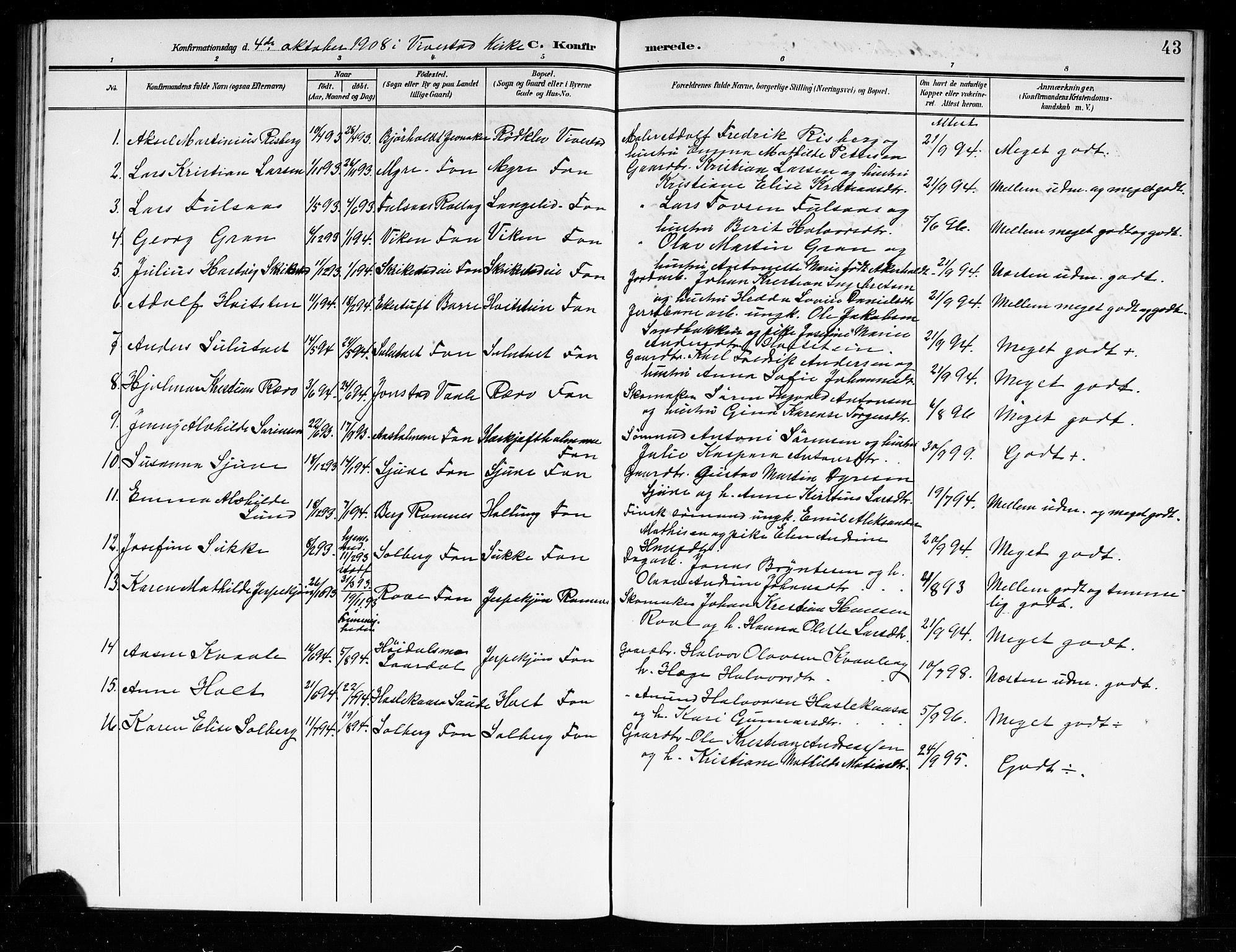 Ramnes kirkebøker, AV/SAKO-A-314/G/Gb/L0002: Parish register (copy) no. II 2, 1904-1923, p. 43