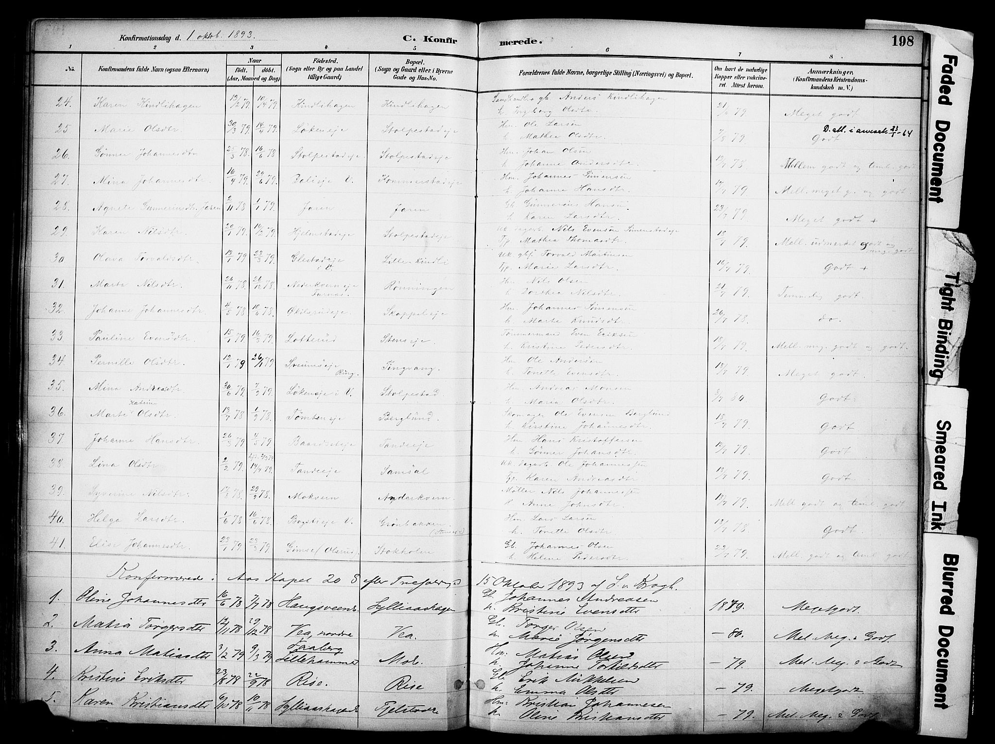 Ringsaker prestekontor, AV/SAH-PREST-014/K/Ka/L0017: Parish register (official) no. 17, 1891-1902, p. 198