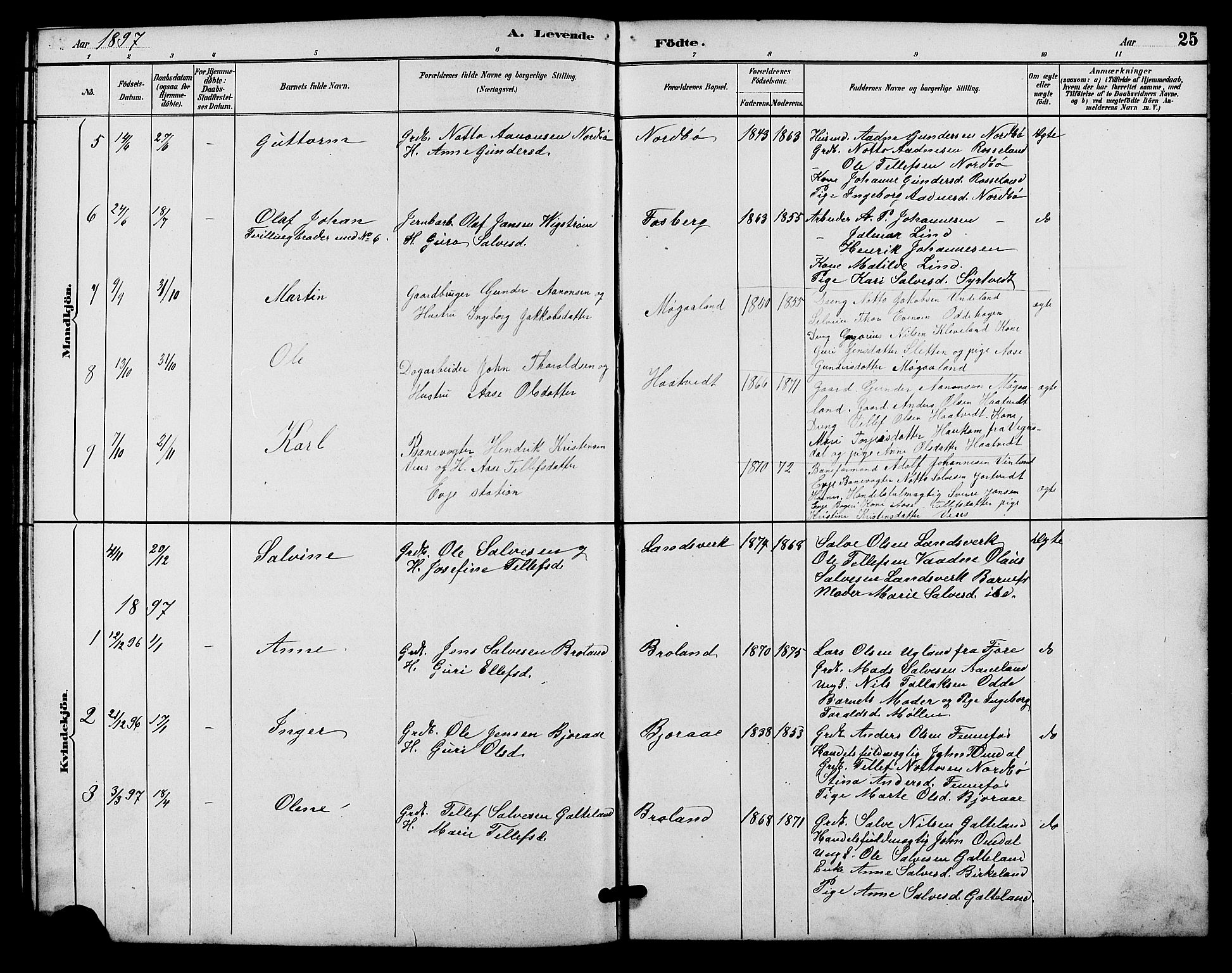 Evje sokneprestkontor, AV/SAK-1111-0008/F/Fb/Fba/L0003: Parish register (copy) no. B 3, 1888-1903, p. 25