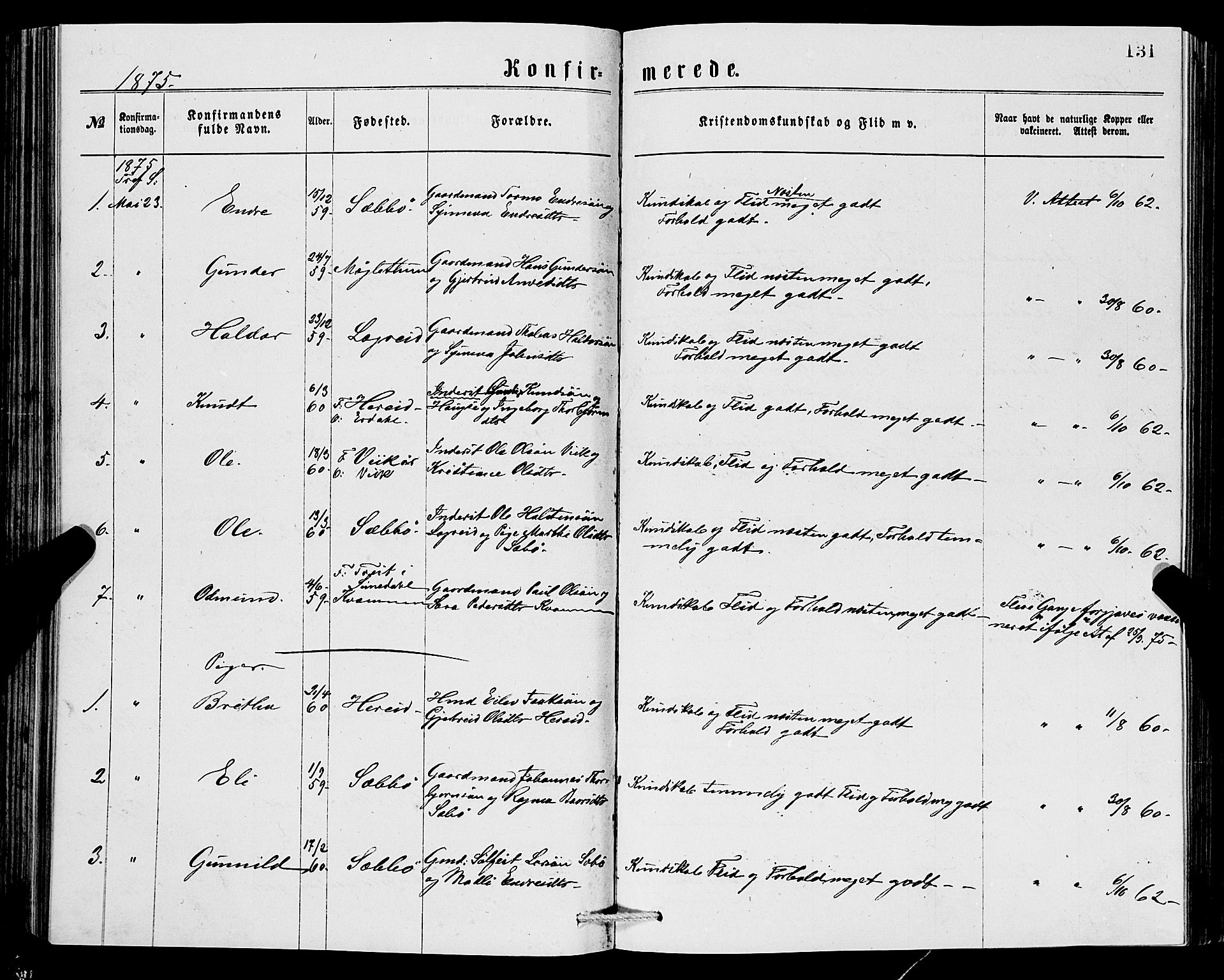 Ullensvang sokneprestembete, SAB/A-78701/H/Hab: Parish register (copy) no. C 2, 1871-1899, p. 131