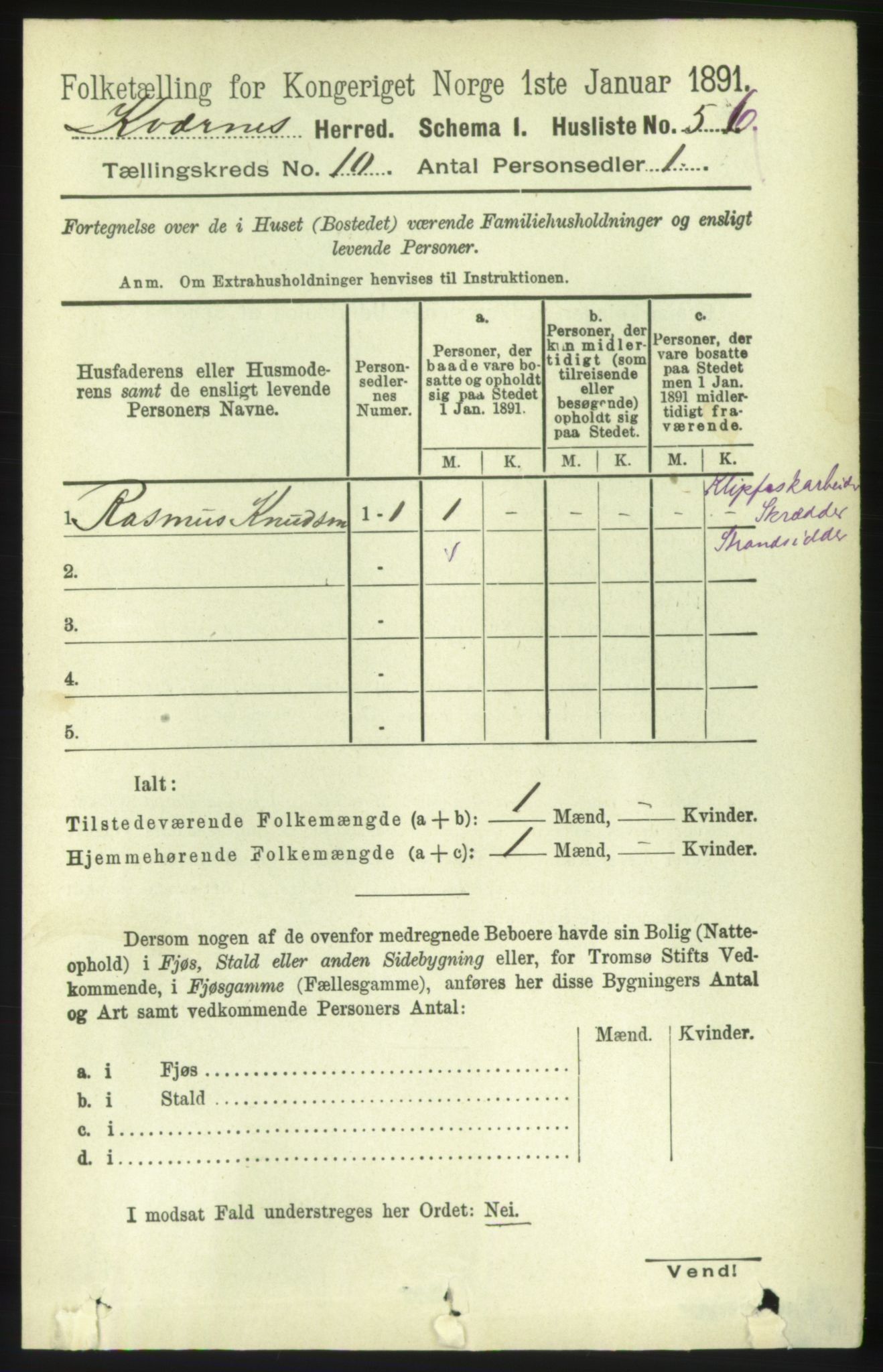 RA, 1891 census for 1553 Kvernes, 1891, p. 4325