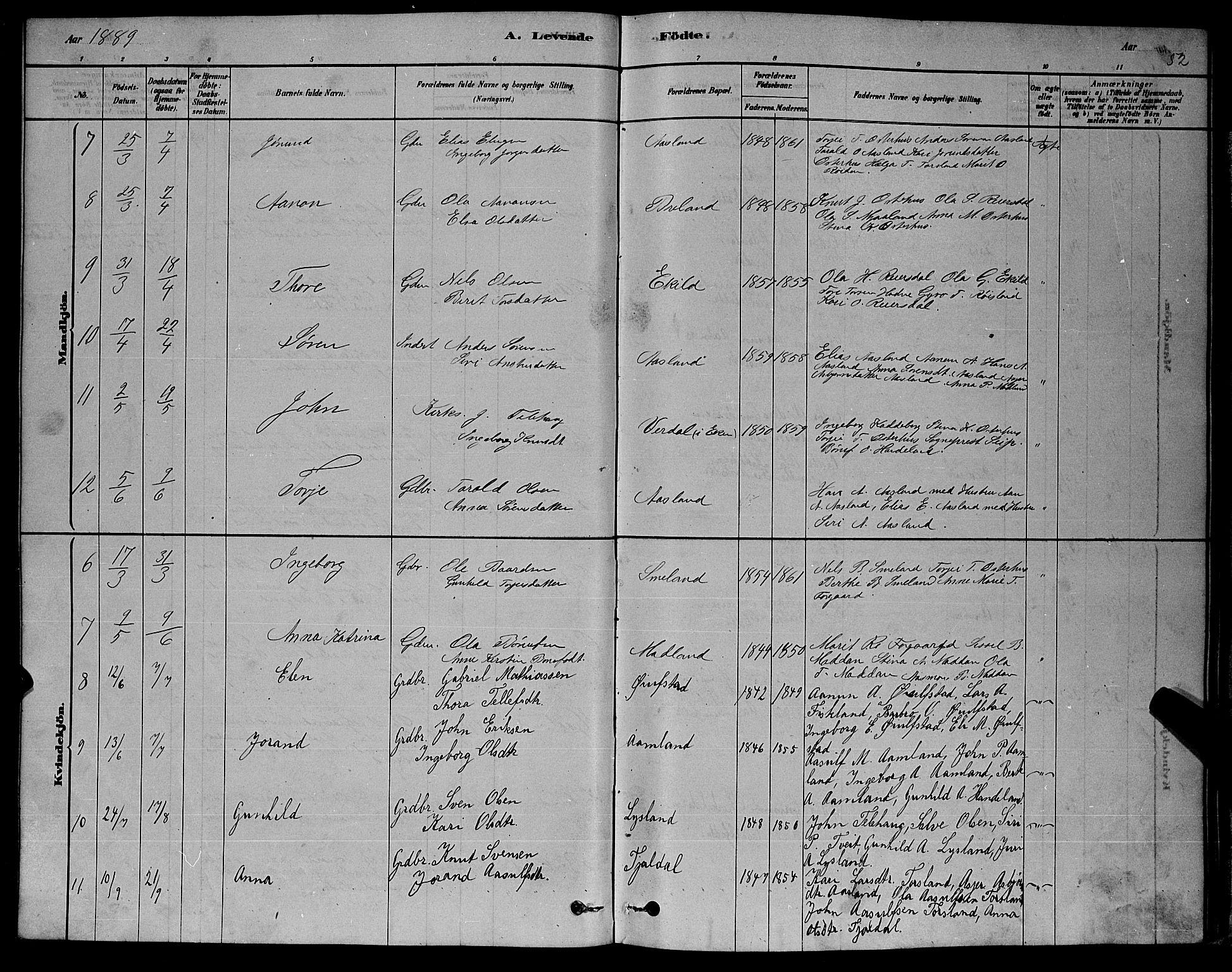 Åseral sokneprestkontor, AV/SAK-1111-0051/F/Fb/L0002: Parish register (copy) no. B 2, 1878-1899, p. 52