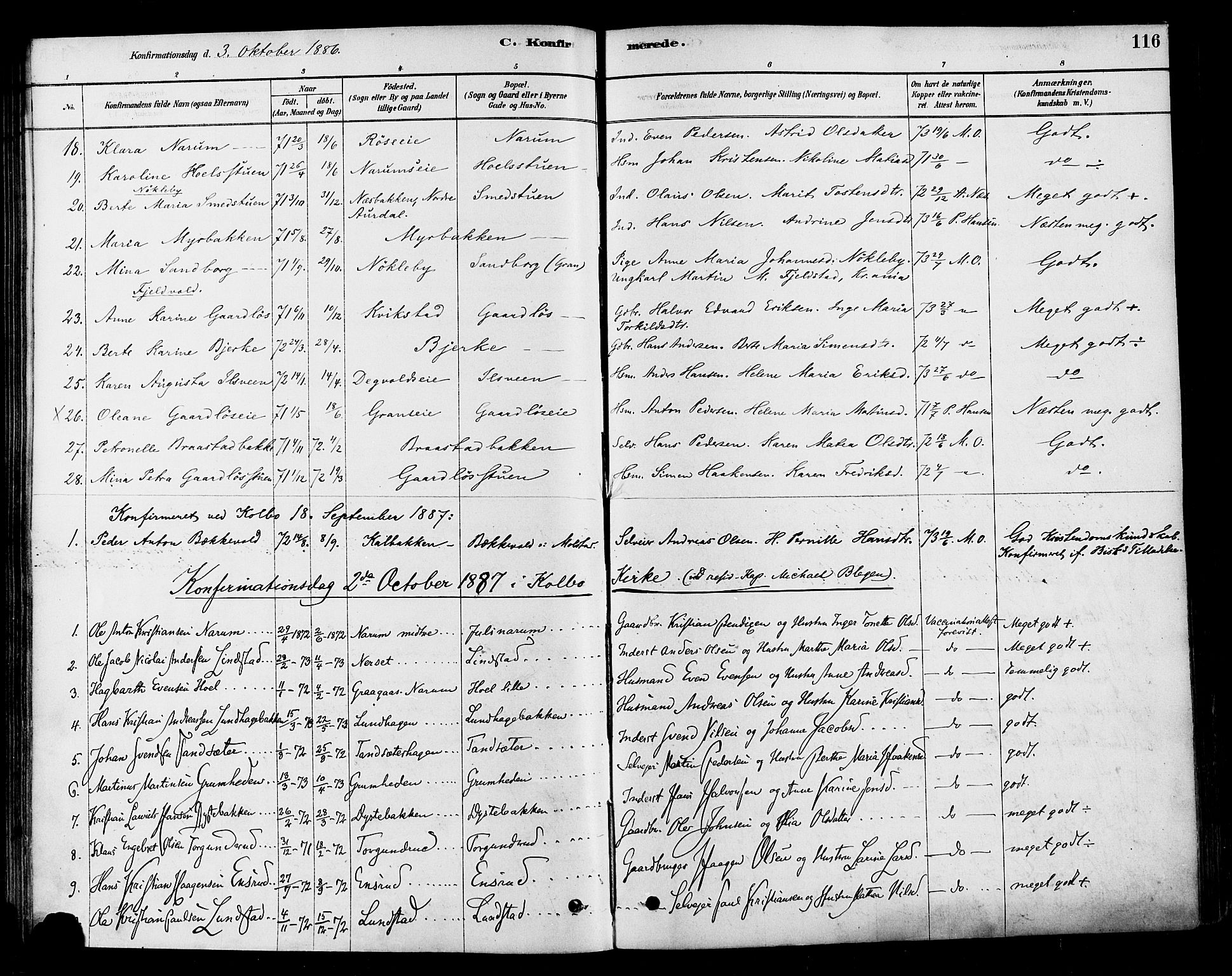 Vestre Toten prestekontor, SAH/PREST-108/H/Ha/Haa/L0010: Parish register (official) no. 10, 1878-1894, p. 116