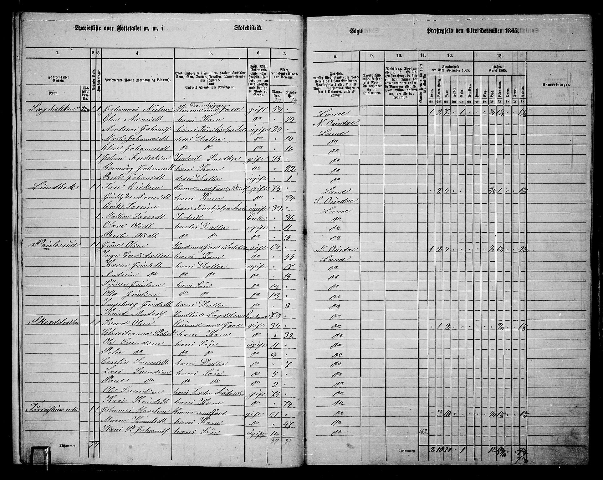 RA, 1865 census for Land, 1865, p. 219