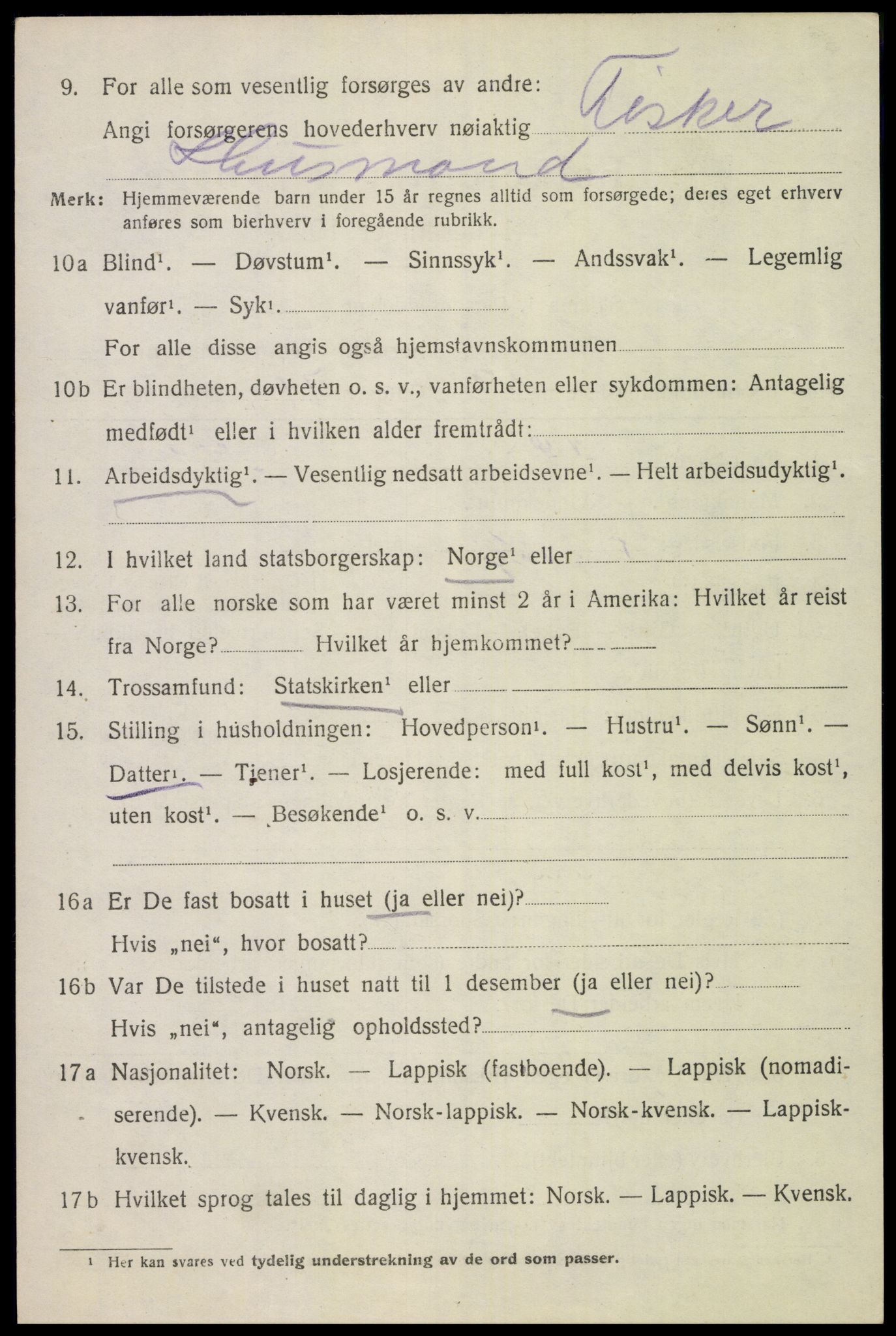 SAT, 1920 census for Bodin, 1920, p. 10049