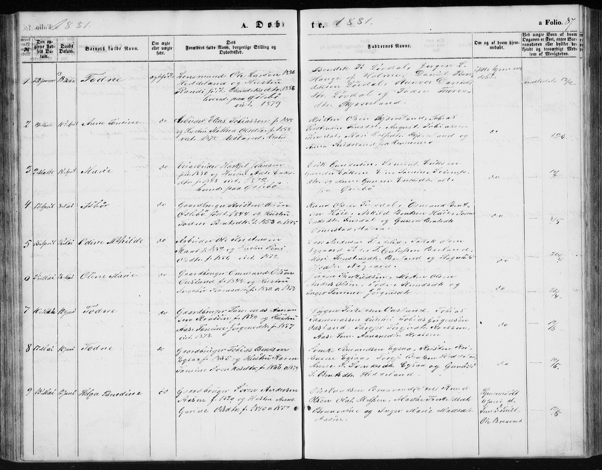 Holum sokneprestkontor, AV/SAK-1111-0022/F/Fb/Fbc/L0002: Parish register (copy) no. B 2, 1860-1882, p. 88