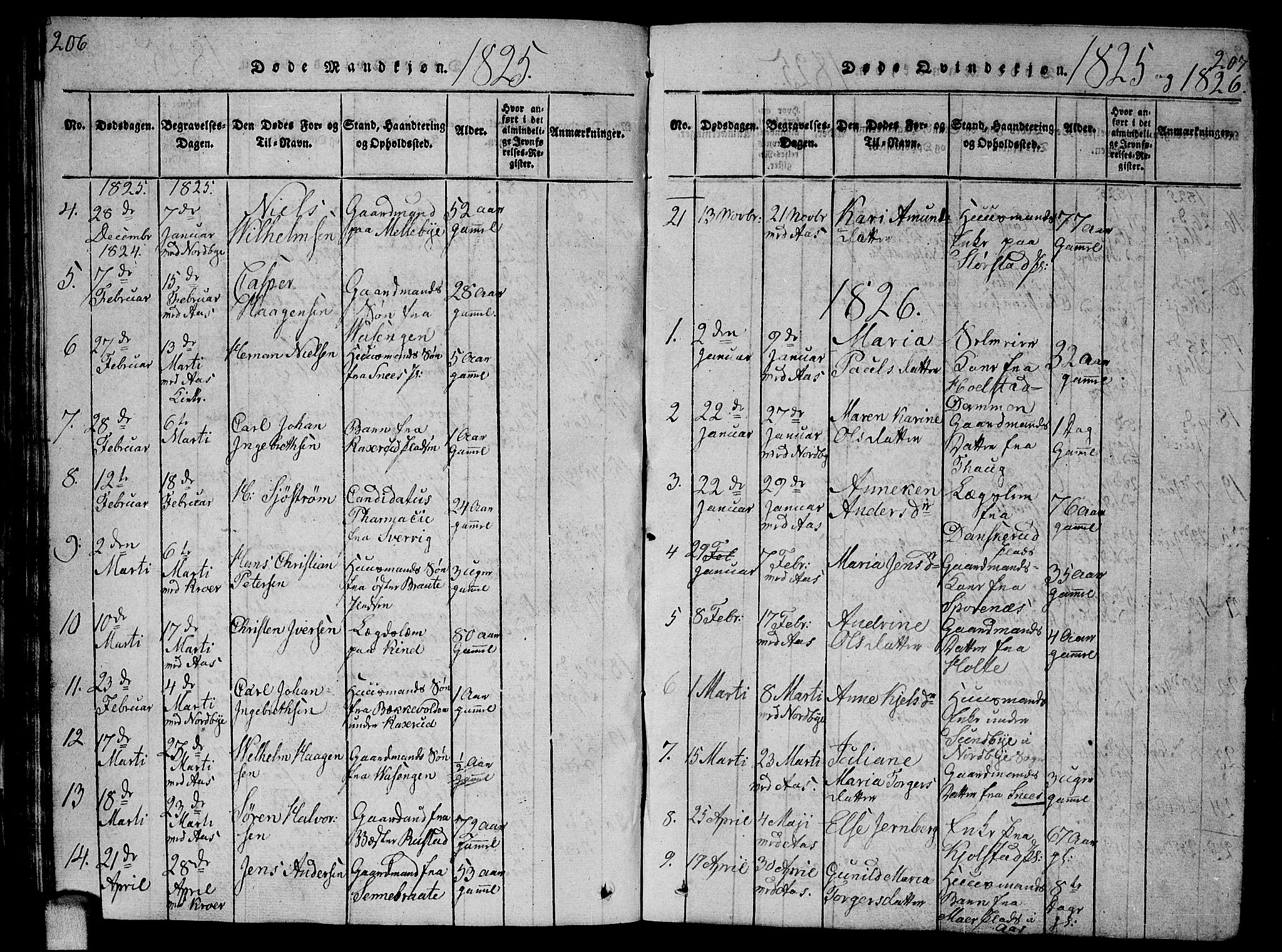 Ås prestekontor Kirkebøker, SAO/A-10894/G/Ga/L0002: Parish register (copy) no. I 2, 1820-1836, p. 206-207