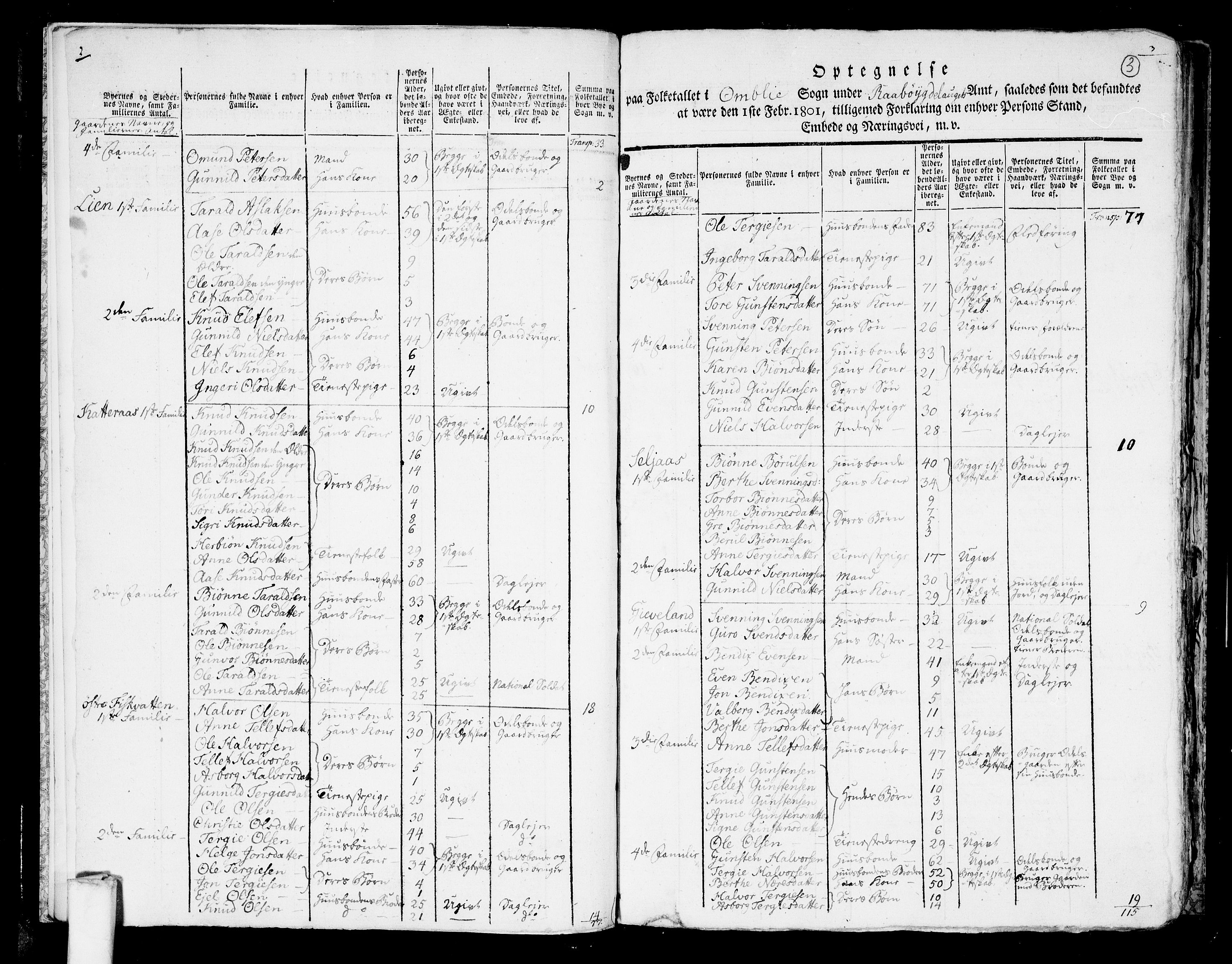 RA, 1801 census for 0929P Åmli, 1801, p. 2b-3a