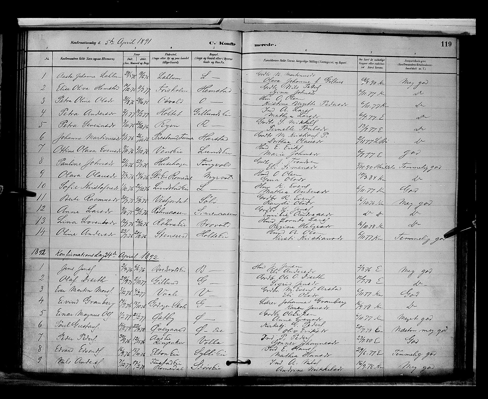 Stange prestekontor, SAH/PREST-002/L/L0009: Parish register (copy) no. 9, 1883-1899, p. 119