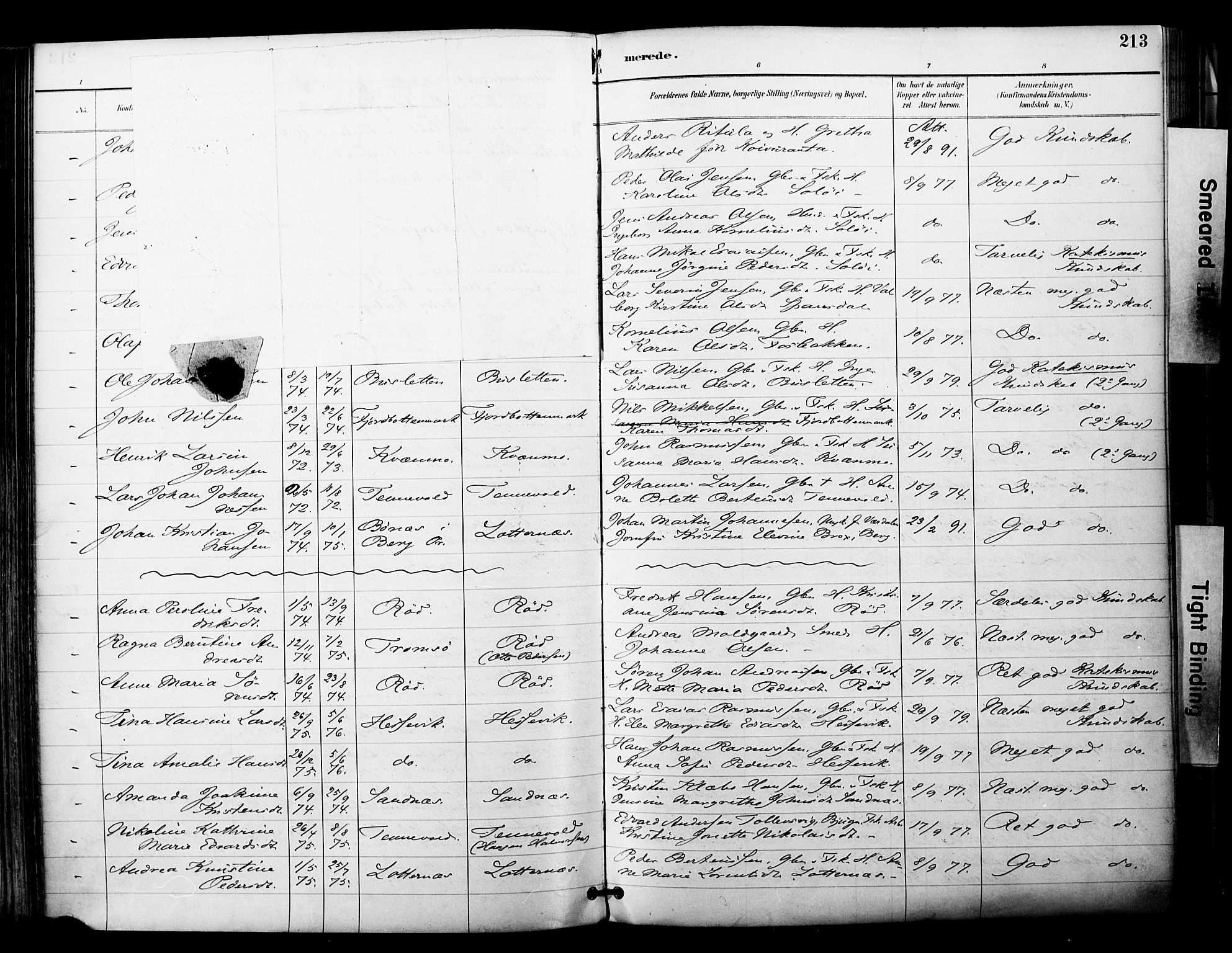 Ibestad sokneprestembete, SATØ/S-0077/H/Ha/Haa/L0012kirke: Parish register (official) no. 12, 1890-1900, p. 213
