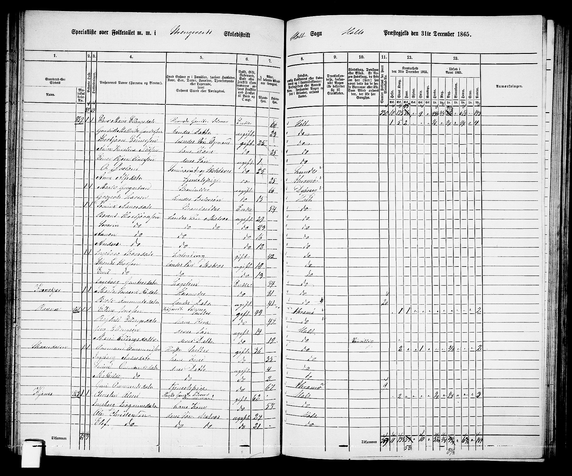 RA, 1865 census for Holt/Holt, 1865, p. 81