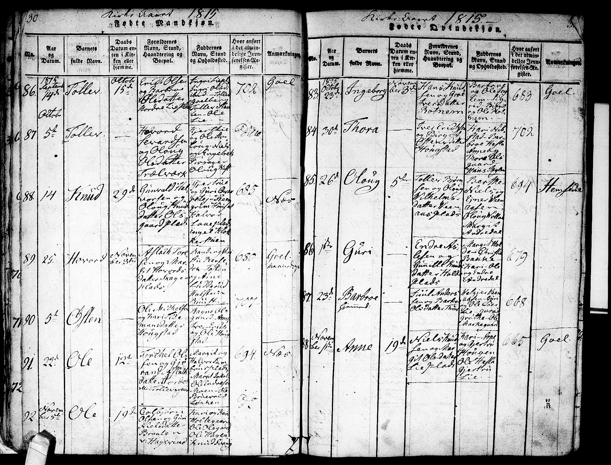 Nes kirkebøker, AV/SAKO-A-236/F/Fa/L0007: Parish register (official) no. 7, 1815-1823, p. 30-31