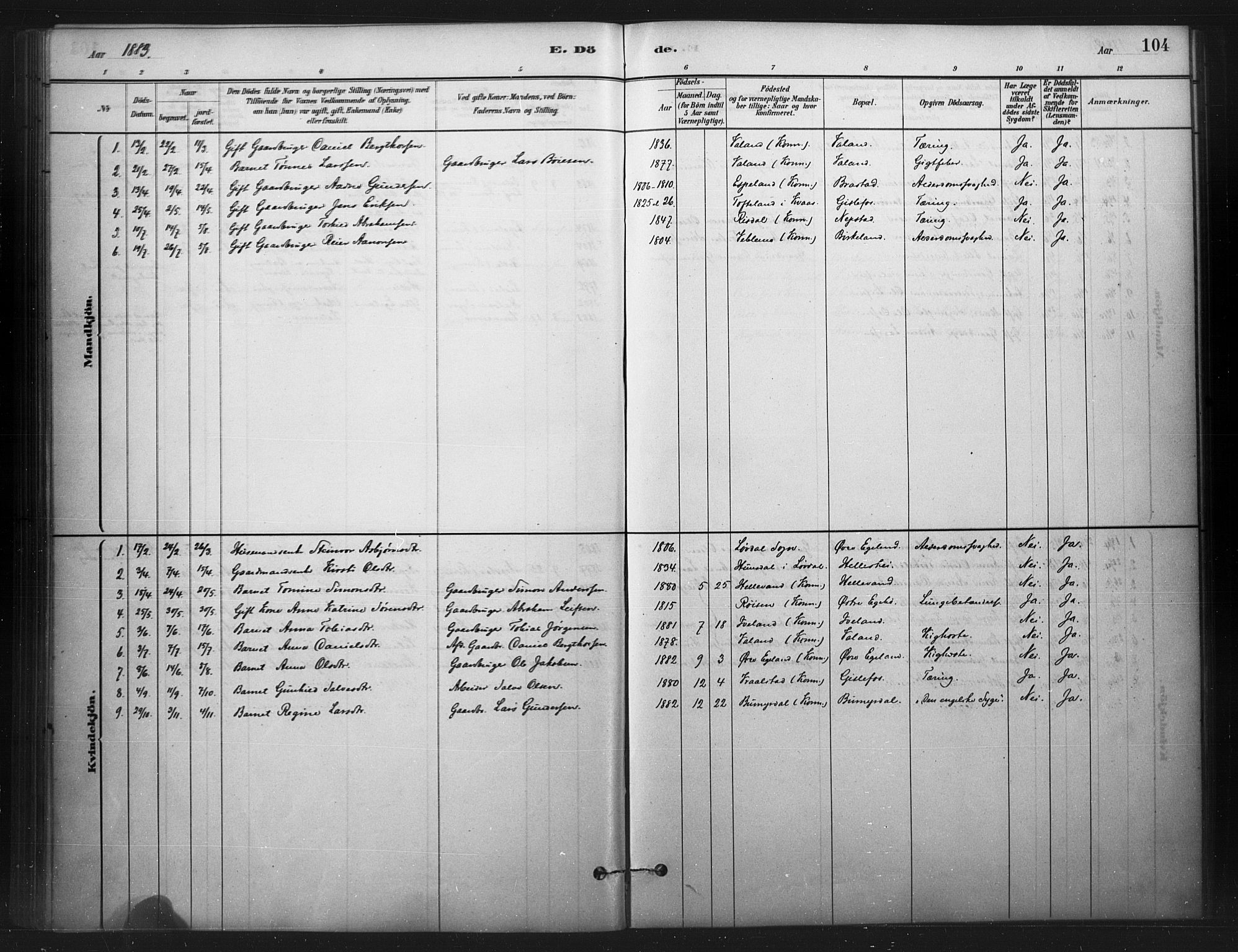 Nord-Audnedal sokneprestkontor, AV/SAK-1111-0032/F/Fa/Faa/L0003: Parish register (official) no. A 3, 1882-1900, p. 104