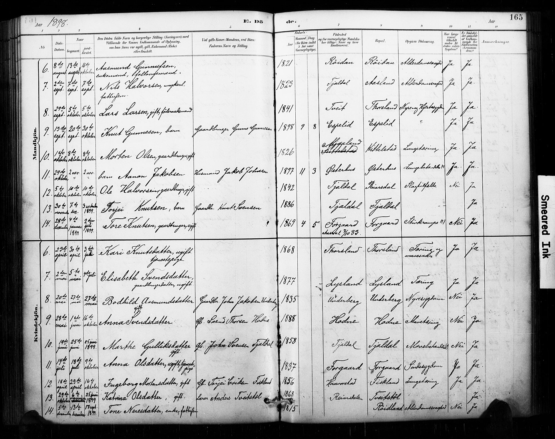 Åseral sokneprestkontor, AV/SAK-1111-0051/F/Fa/L0003: Parish register (official) no. A 3, 1884-1901, p. 165