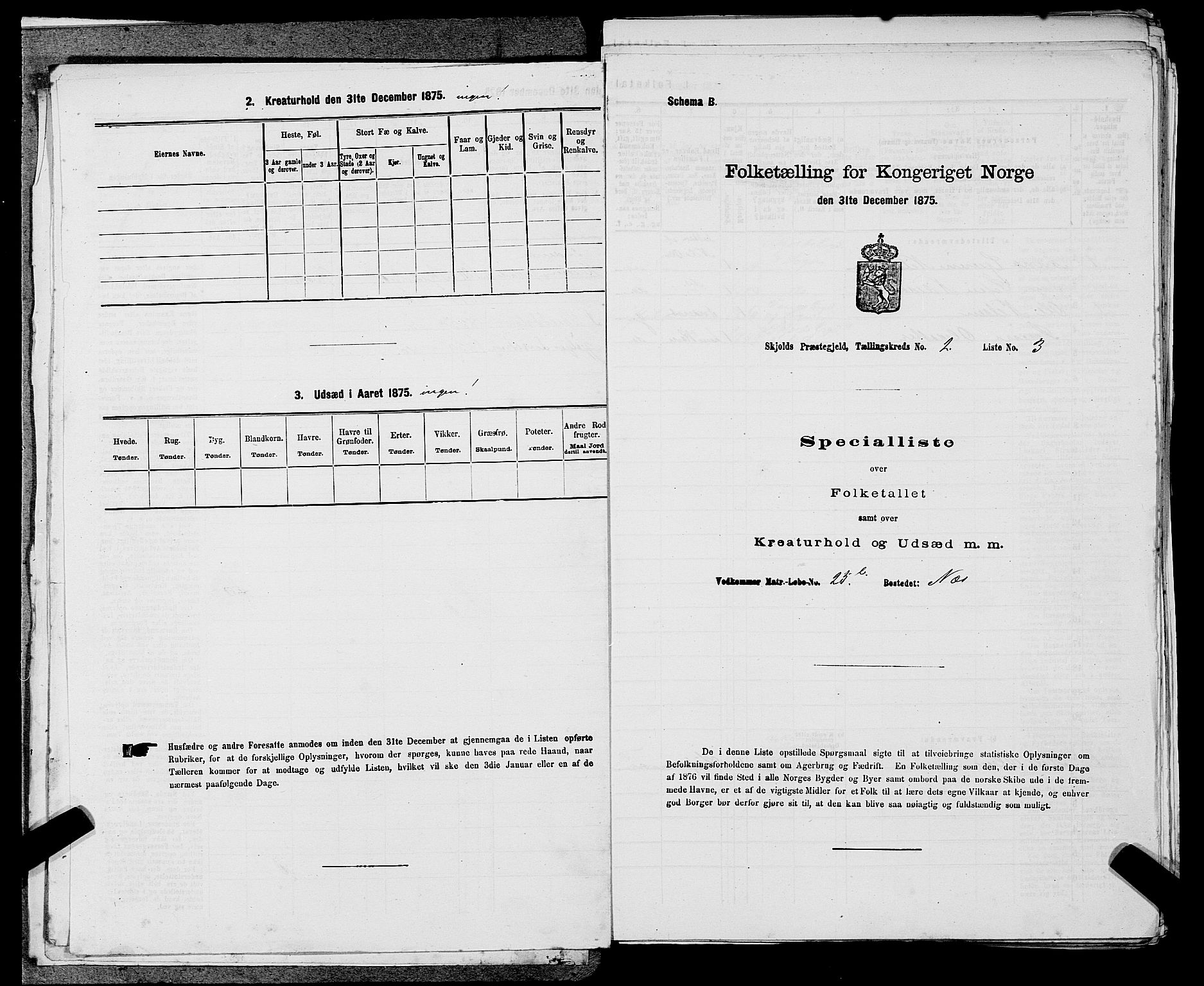 SAST, 1875 census for 1154P Skjold, 1875, p. 131