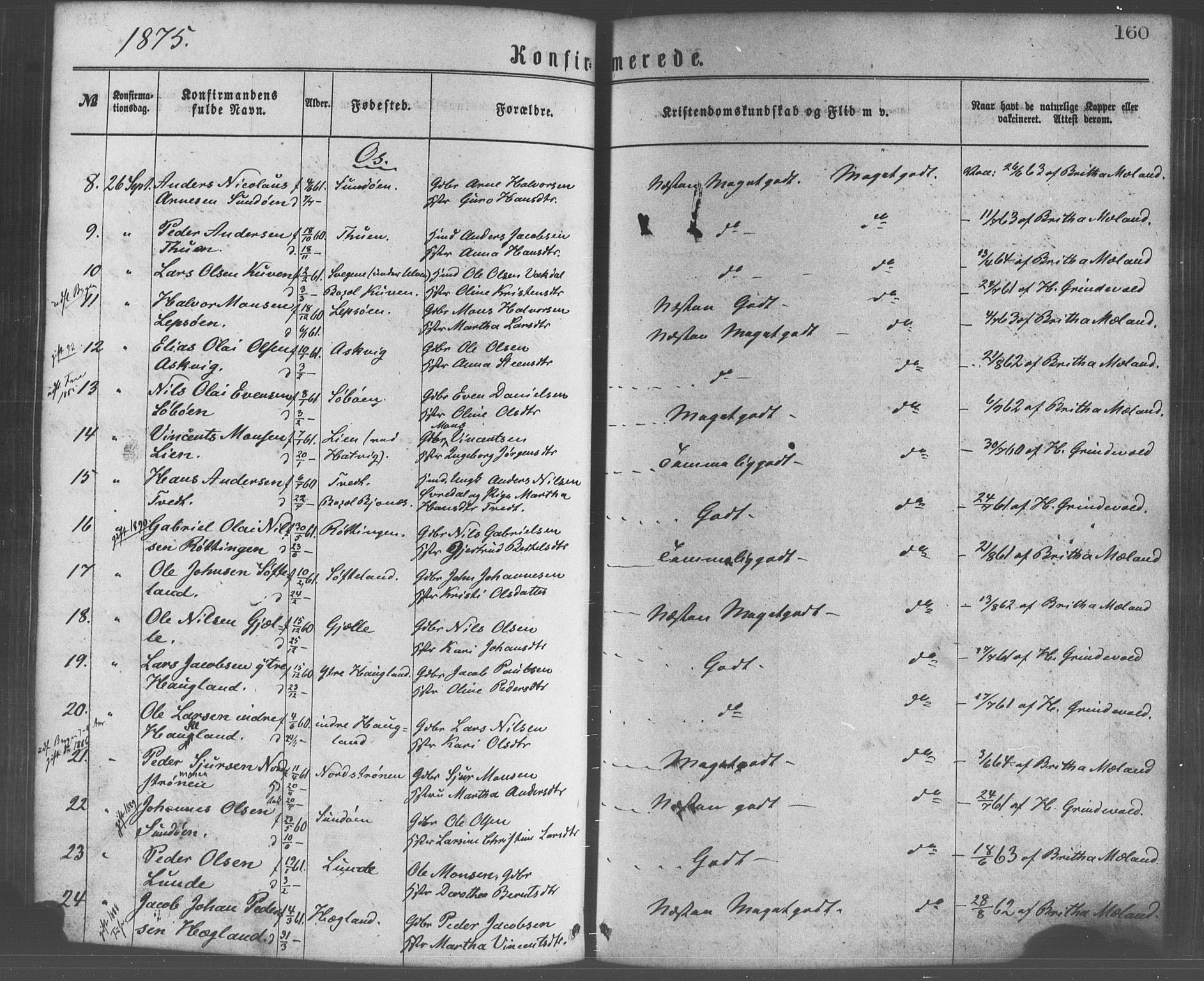 Os sokneprestembete, AV/SAB-A-99929: Parish register (official) no. A 18, 1874-1884, p. 160