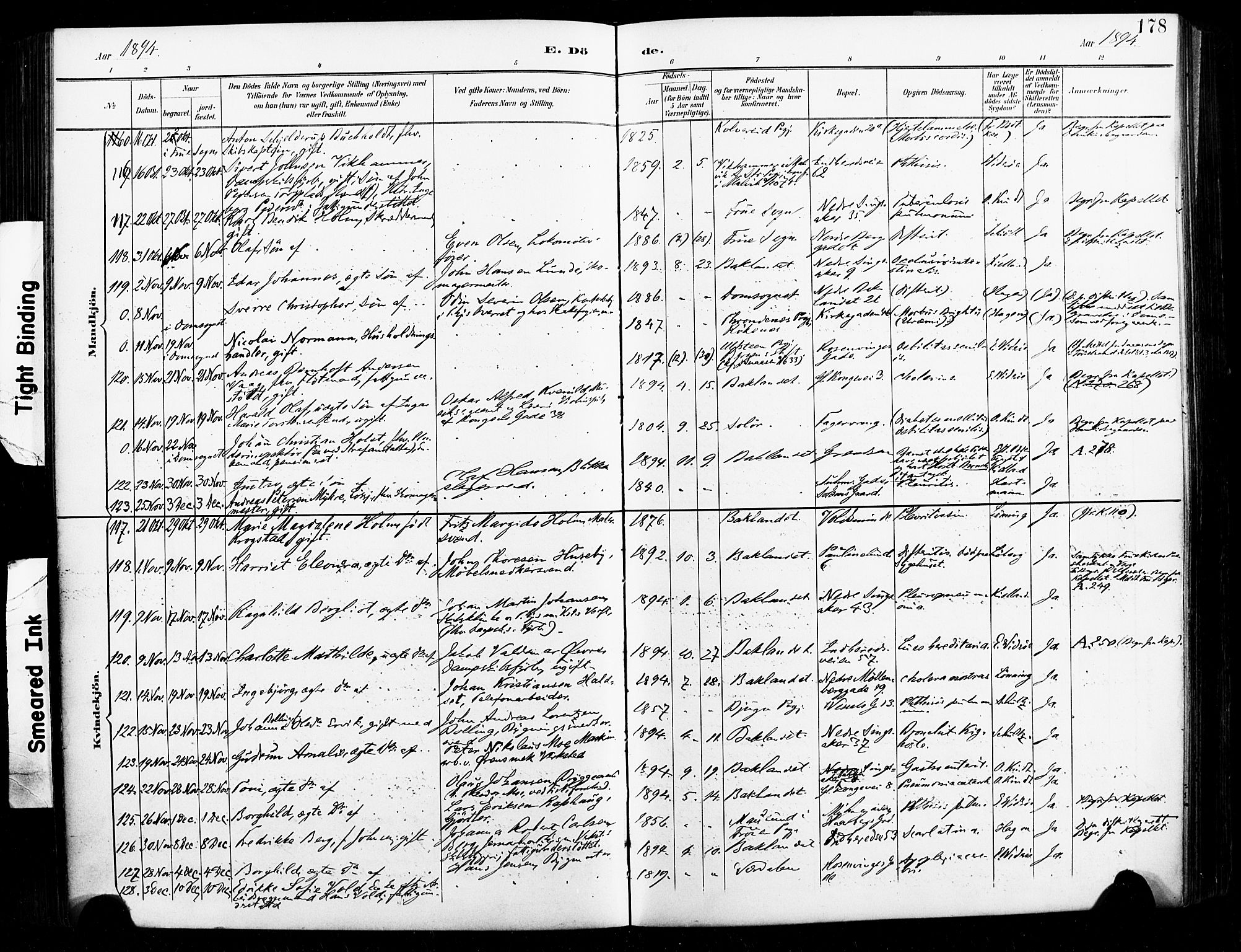 Ministerialprotokoller, klokkerbøker og fødselsregistre - Sør-Trøndelag, AV/SAT-A-1456/604/L0198: Parish register (official) no. 604A19, 1893-1900, p. 178