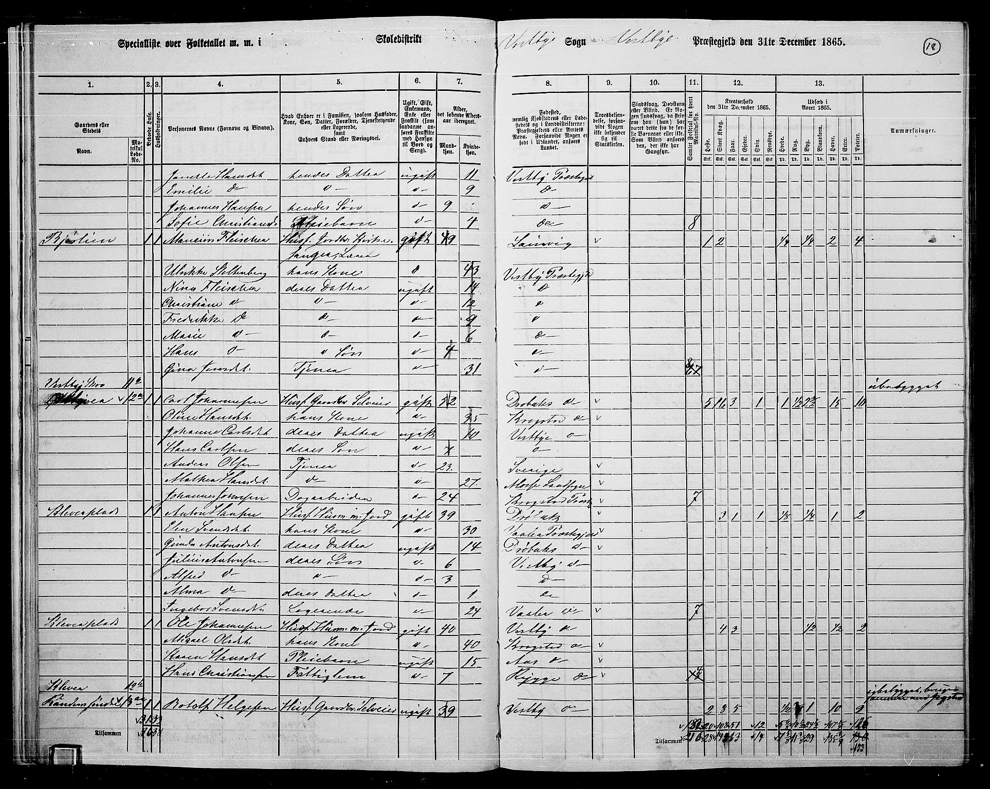 RA, 1865 census for Vestby, 1865, p. 17