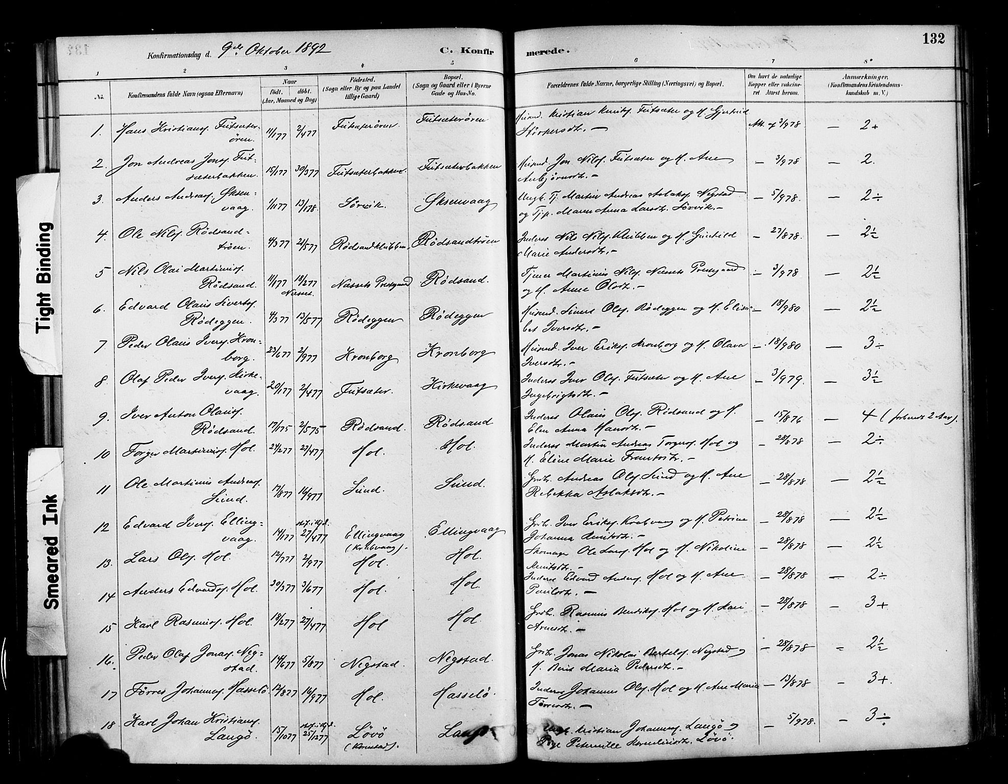 Ministerialprotokoller, klokkerbøker og fødselsregistre - Møre og Romsdal, SAT/A-1454/569/L0819: Parish register (official) no. 569A05, 1885-1899, p. 132