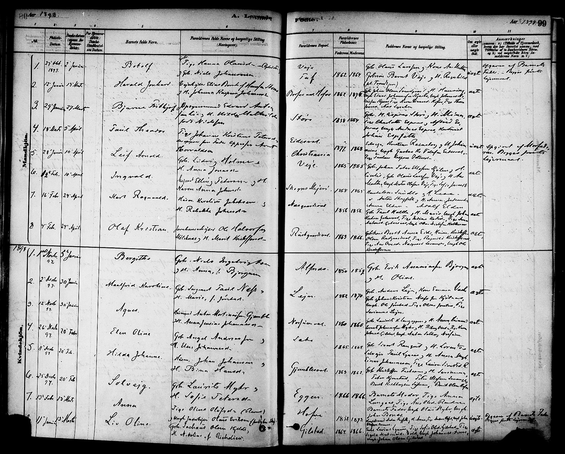 Ministerialprotokoller, klokkerbøker og fødselsregistre - Nord-Trøndelag, AV/SAT-A-1458/717/L0159: Parish register (official) no. 717A09, 1878-1898, p. 99