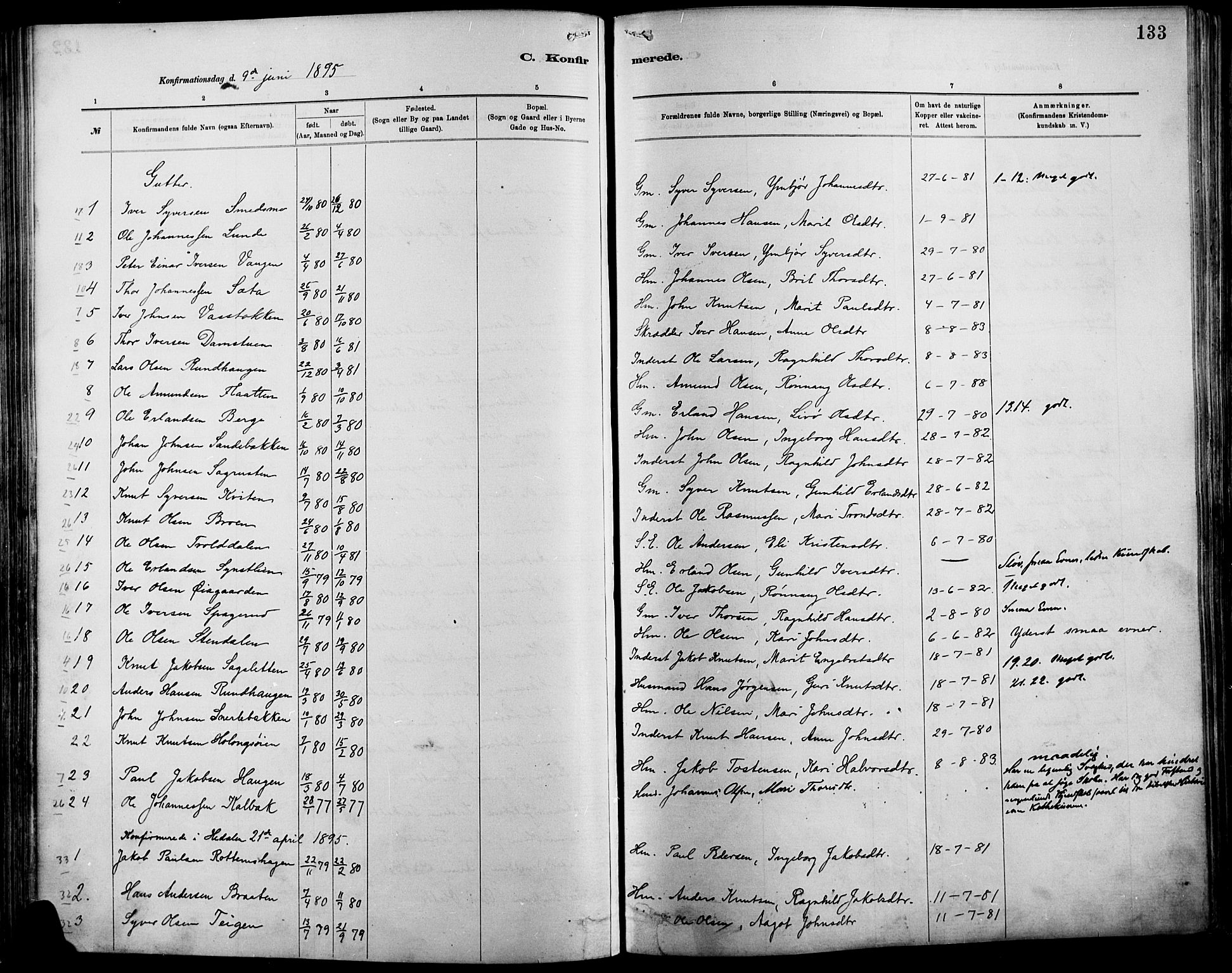 Vågå prestekontor, SAH/PREST-076/H/Ha/Haa/L0009: Parish register (official) no. 9, 1886-1904, p. 133