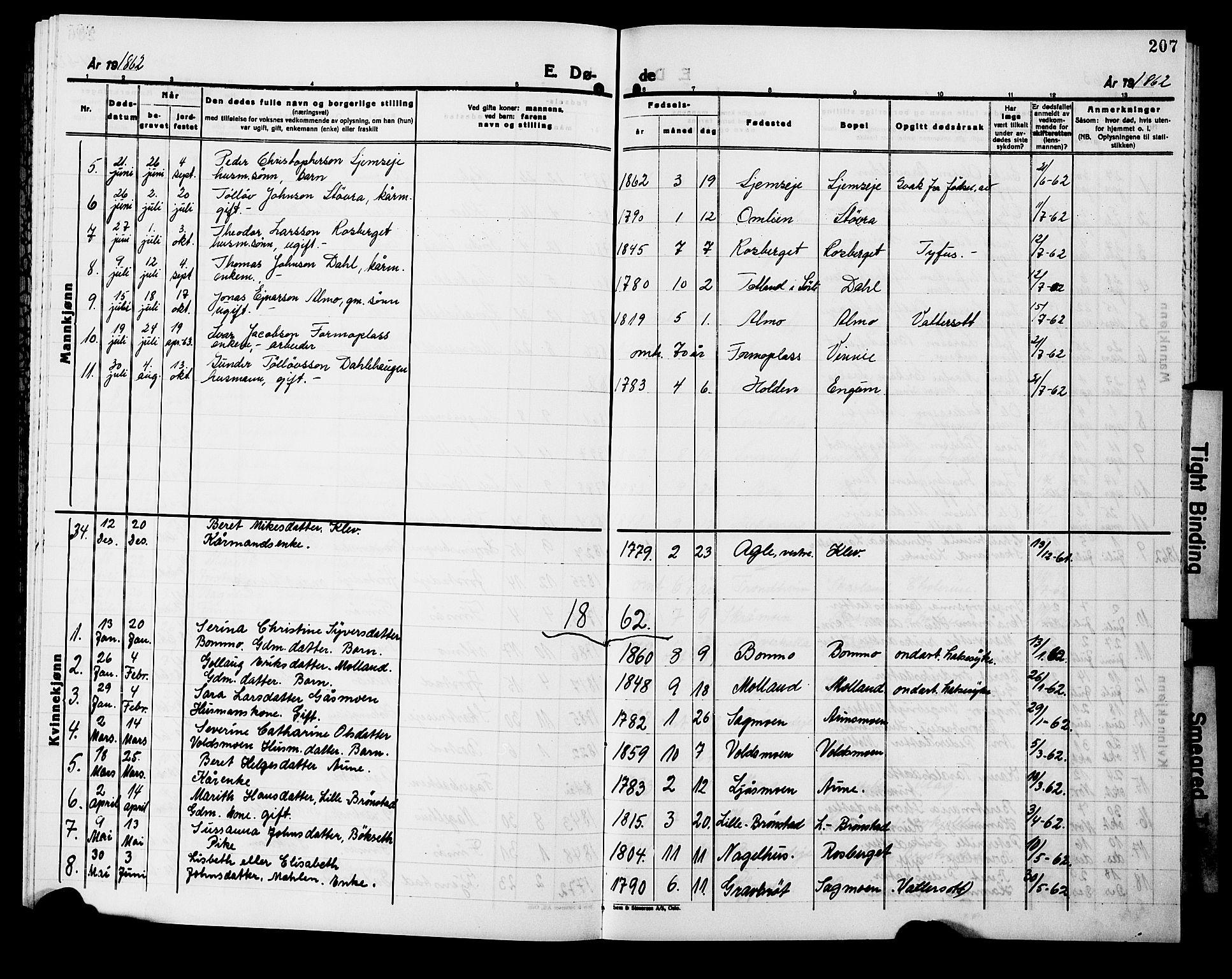 Ministerialprotokoller, klokkerbøker og fødselsregistre - Nord-Trøndelag, AV/SAT-A-1458/749/L0485: Parish register (official) no. 749D01, 1857-1872, p. 207