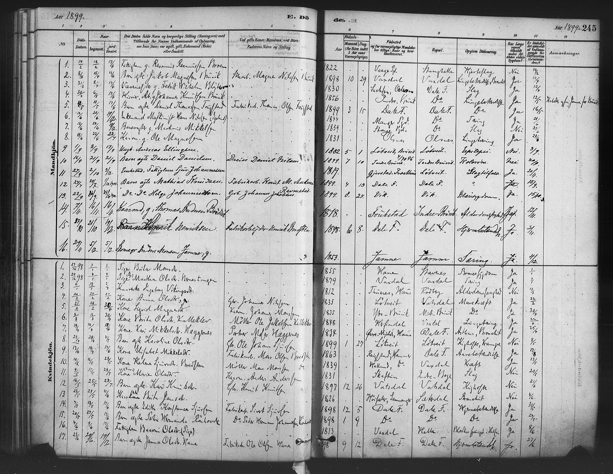 Bruvik Sokneprestembete, SAB/A-74701/H/Haa: Parish register (official) no. B 1, 1878-1904, p. 245