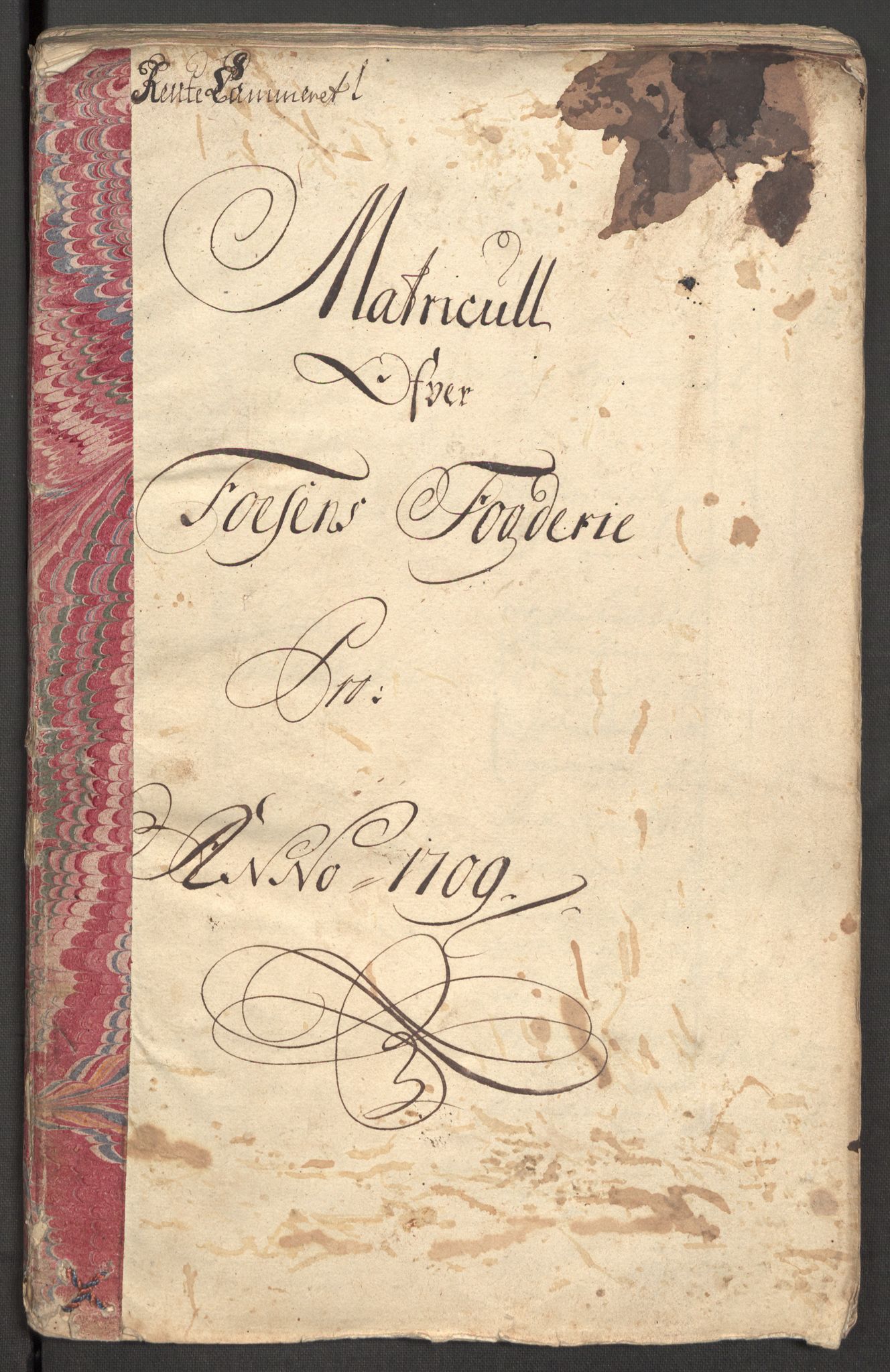 Rentekammeret inntil 1814, Reviderte regnskaper, Fogderegnskap, RA/EA-4092/R57/L3858: Fogderegnskap Fosen, 1708-1709, p. 214