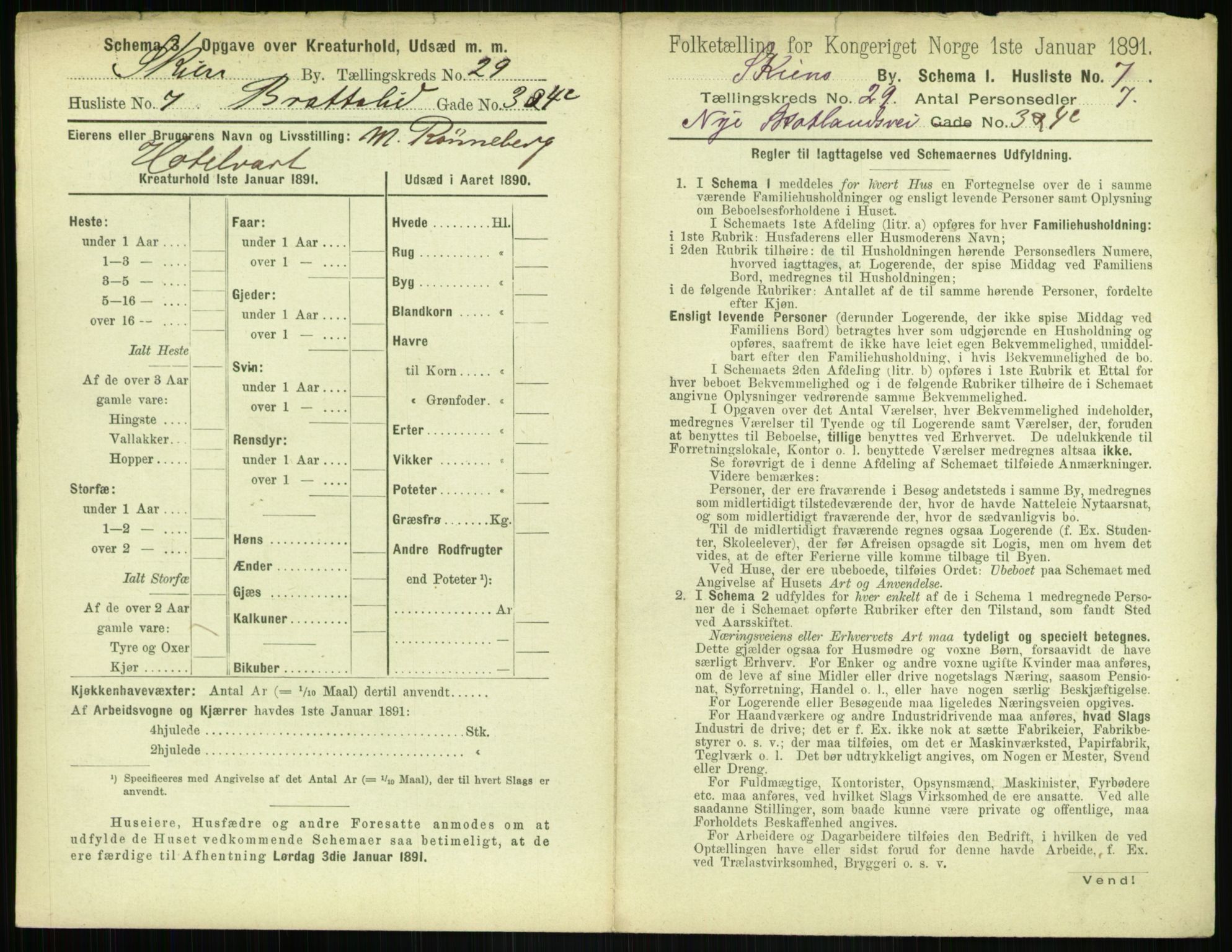 RA, 1891 census for 0806 Skien, 1891, p. 1078