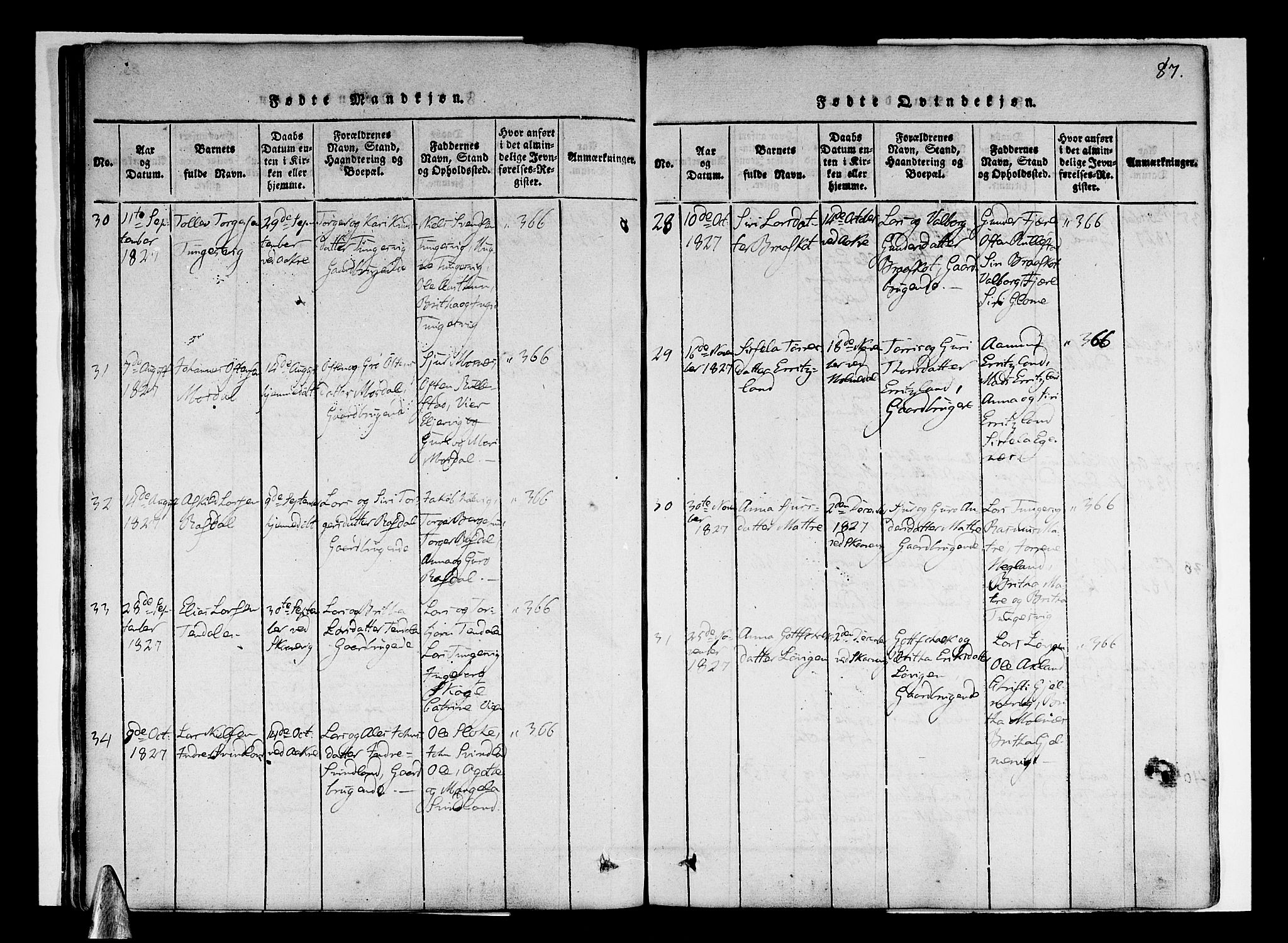 Skånevik sokneprestembete, AV/SAB-A-77801/H/Haa: Parish register (official) no. A 3, 1815-1828, p. 87