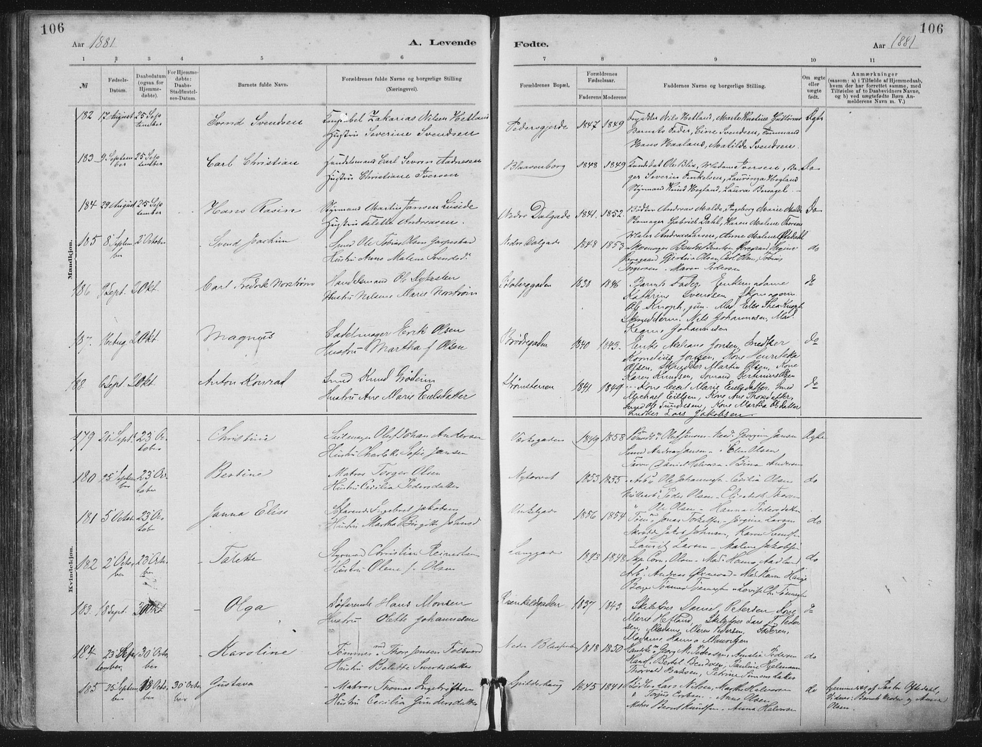 St. Petri sokneprestkontor, AV/SAST-A-101813/001/30/30BA/L0015: Parish register (official) no. A 15, 1879-1888, p. 106